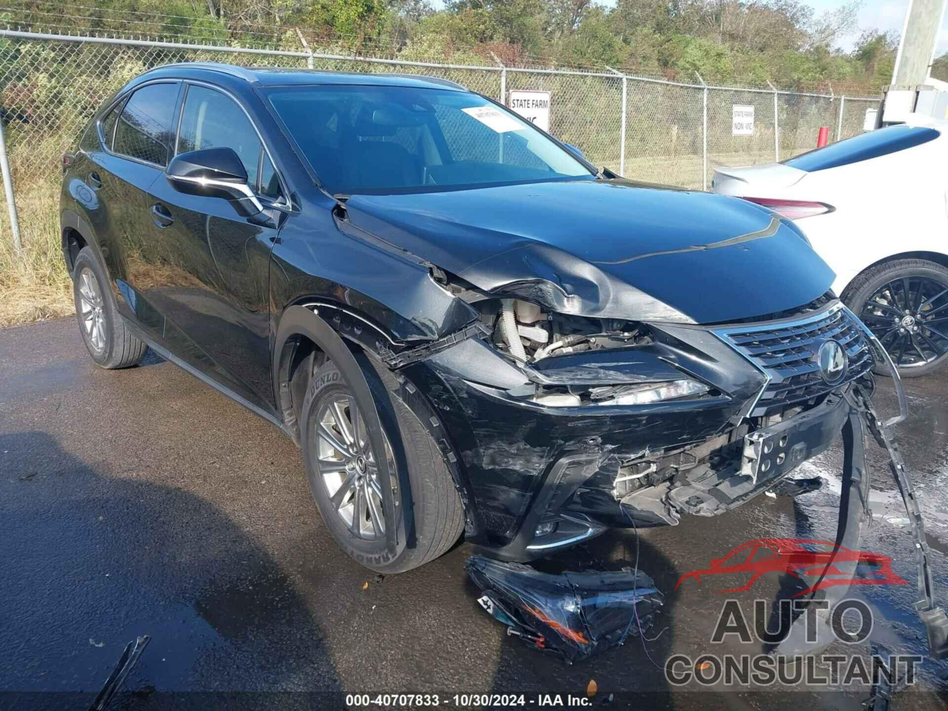 LEXUS NX 300 2019 - JTJYARBZ5K2138234