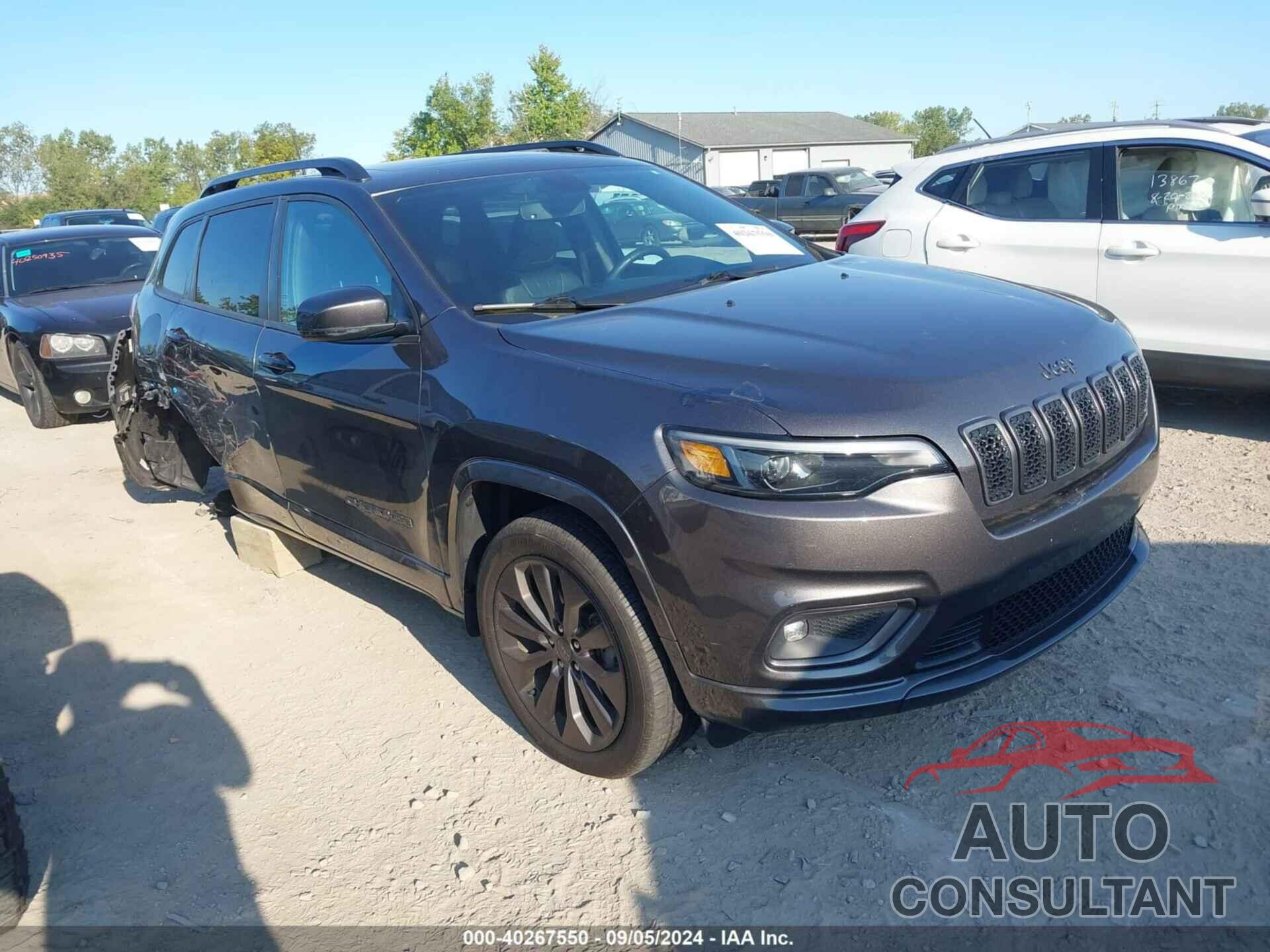 JEEP CHEROKEE 2019 - 1C4PJMDN6KD424321