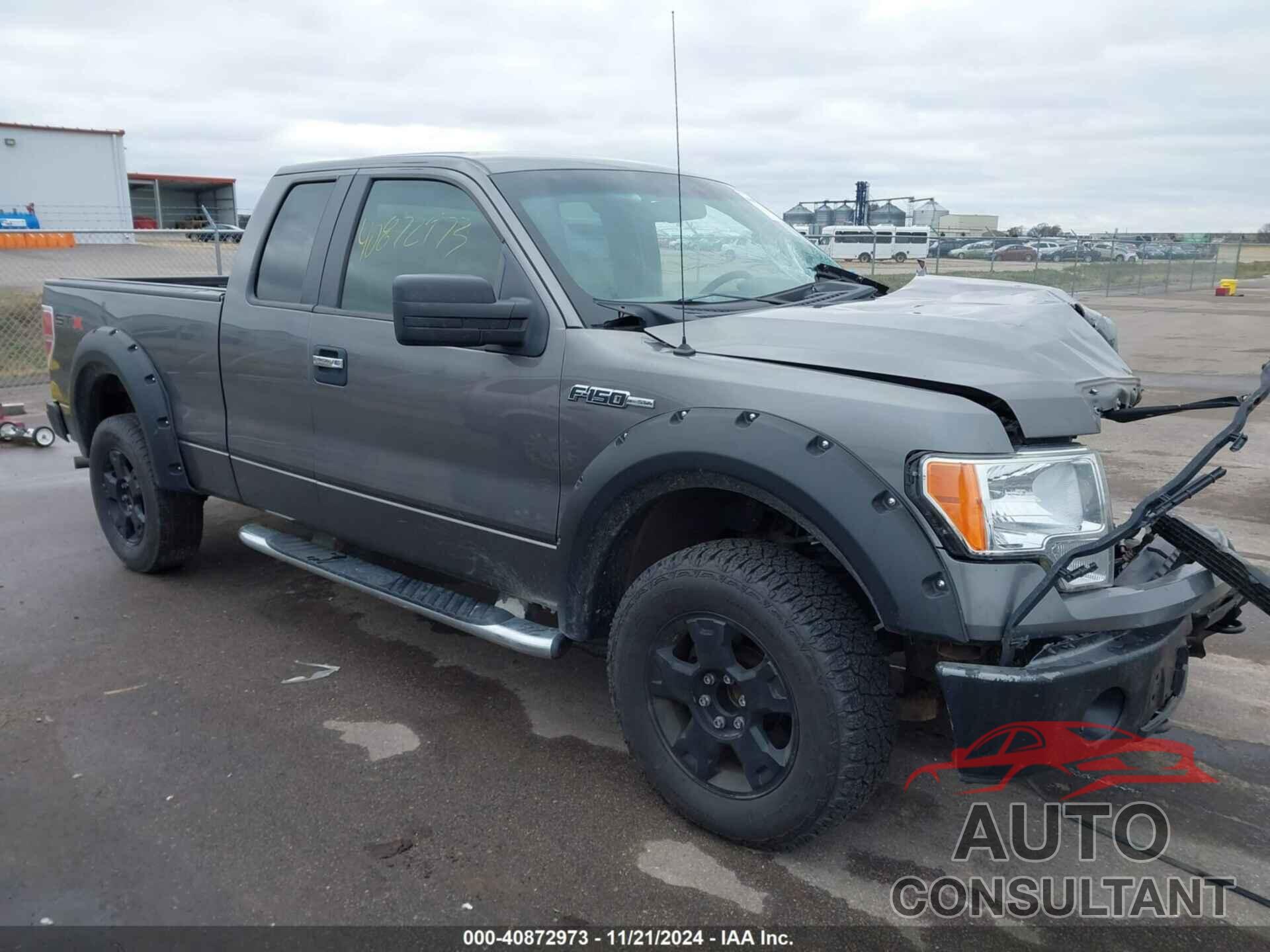 FORD F-150 2010 - 1FTEX1EW3AFA95317