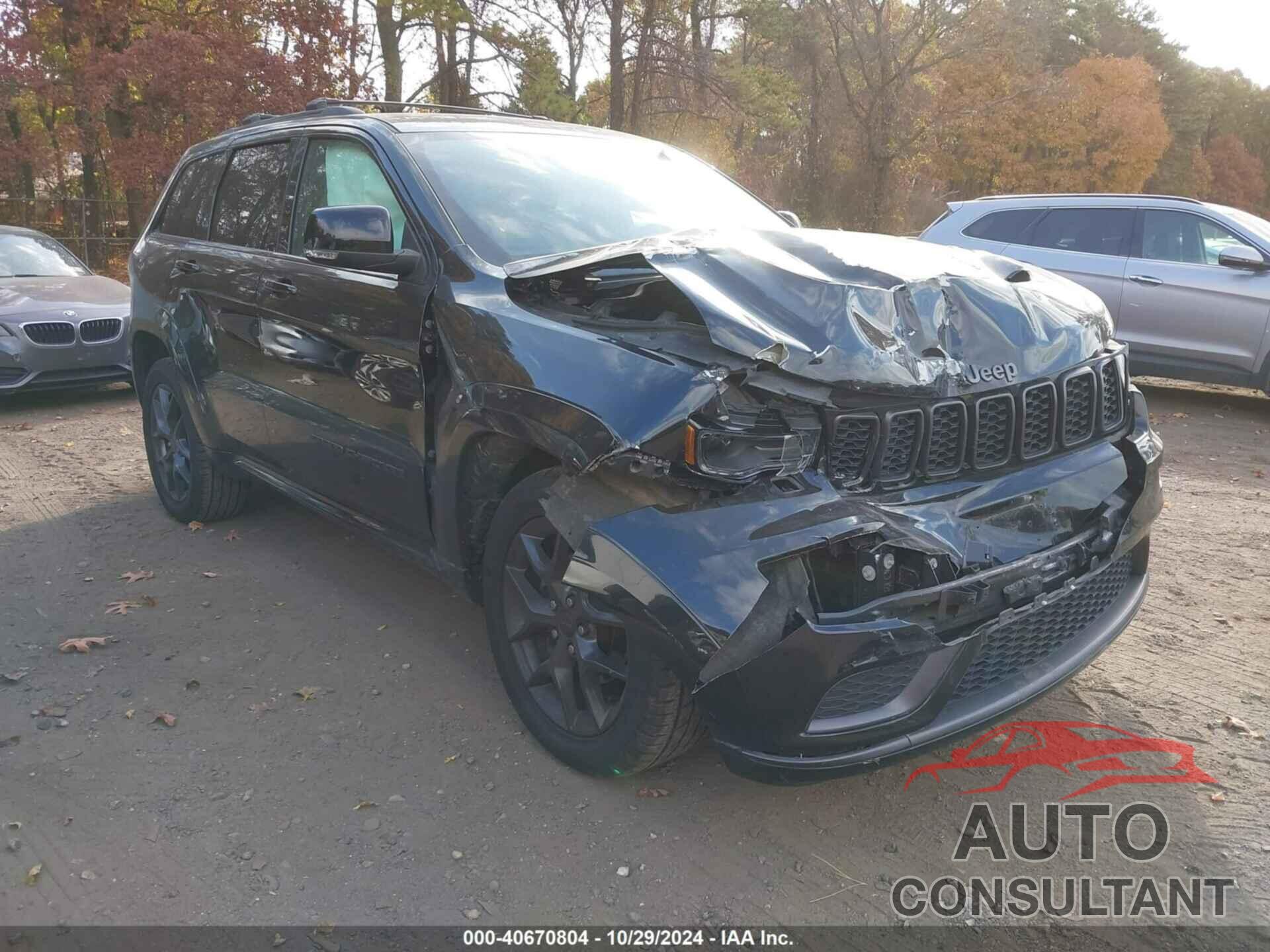 JEEP GRAND CHEROKEE 2019 - 1C4RJFBG2KC629259