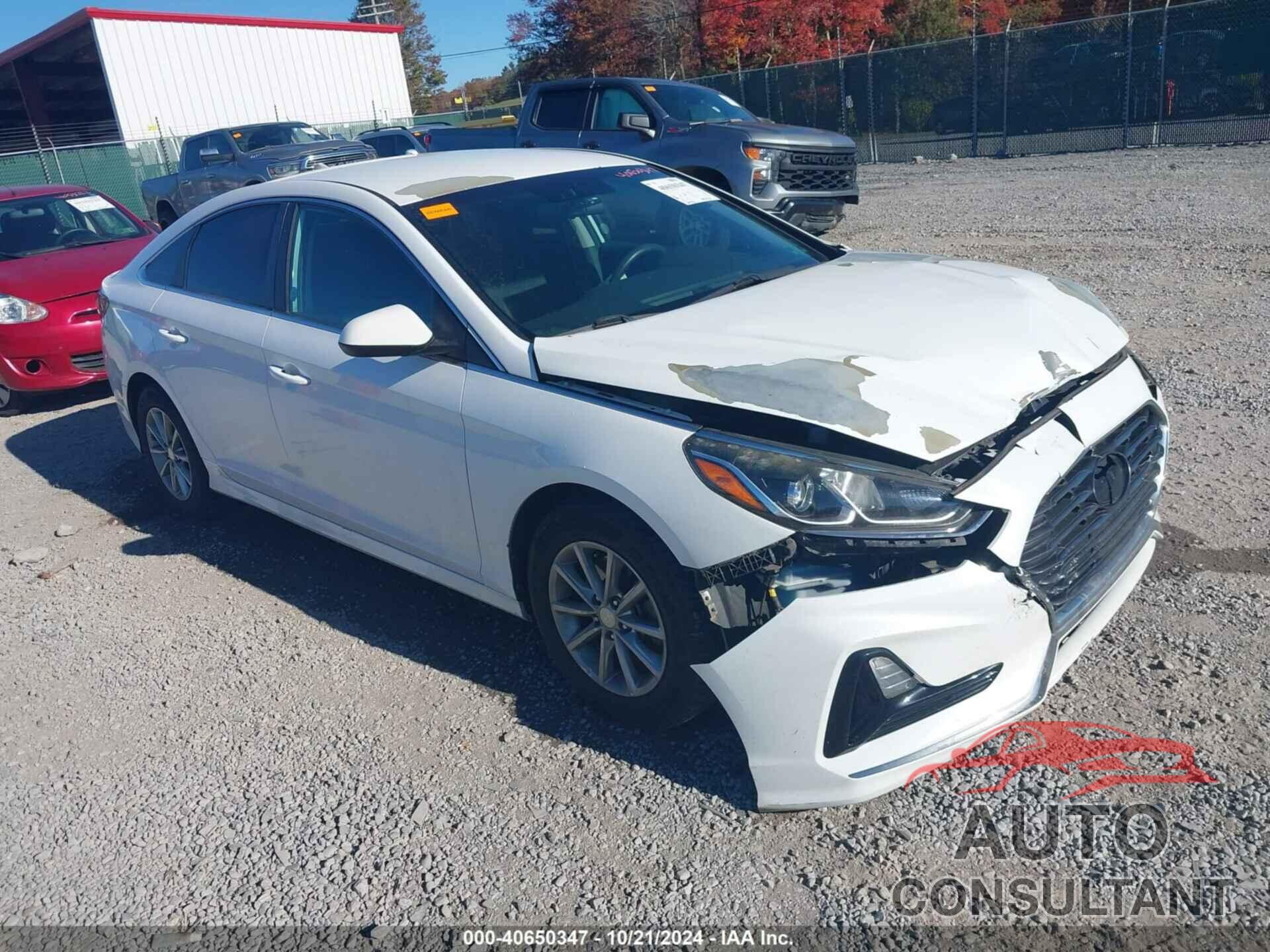 HYUNDAI SONATA 2018 - 5NPE24AF9JH619744