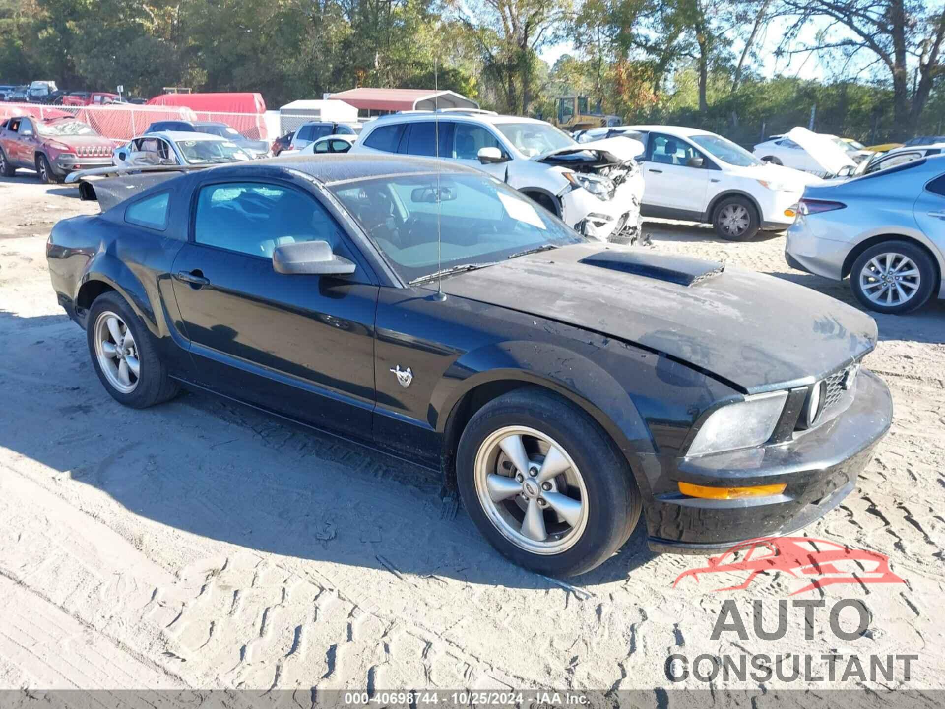 FORD MUSTANG 2009 - 1ZVHT82H495101213