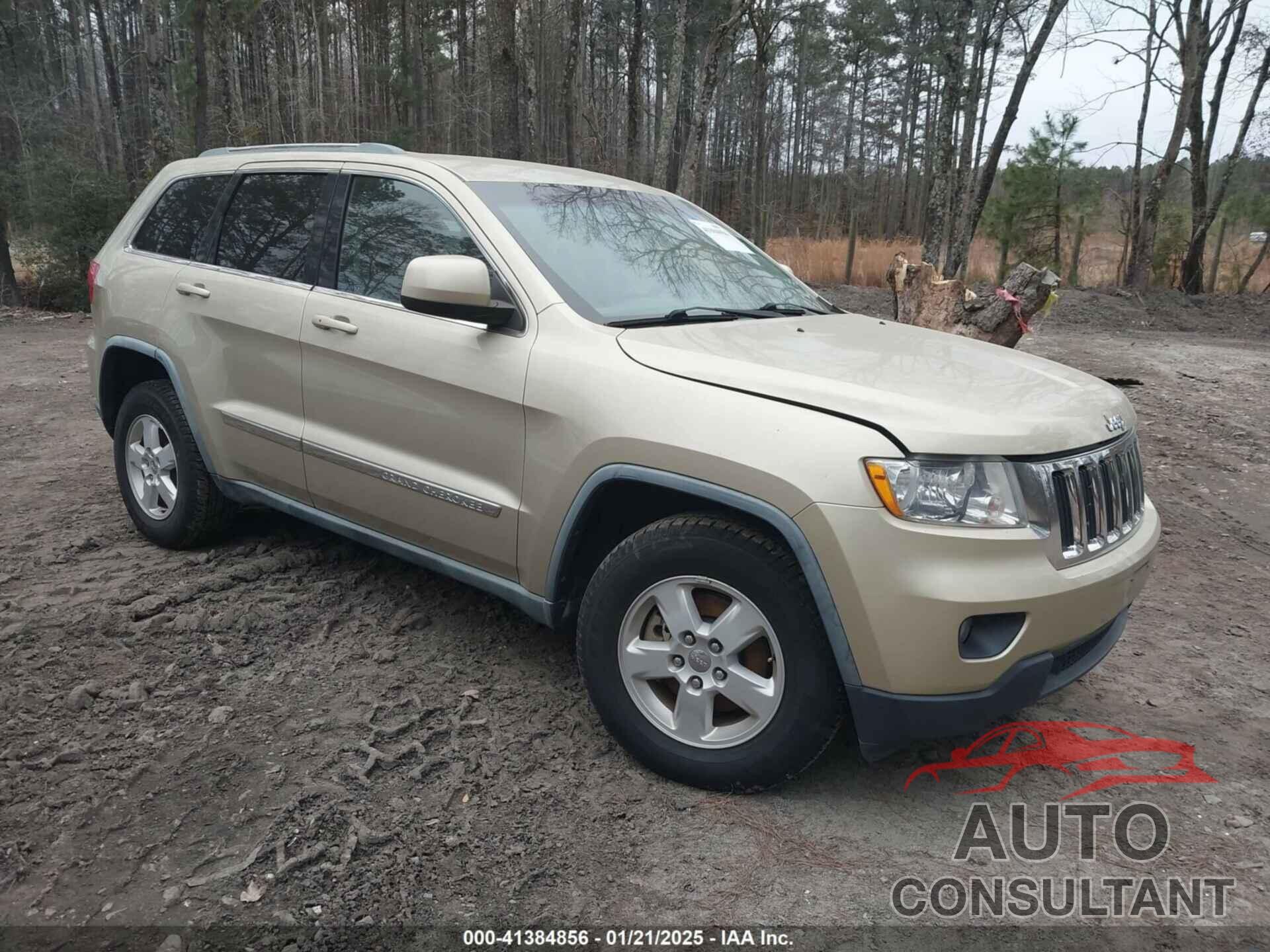 JEEP GRAND CHEROKEE 2011 - 1J4RS4GGXBC564388