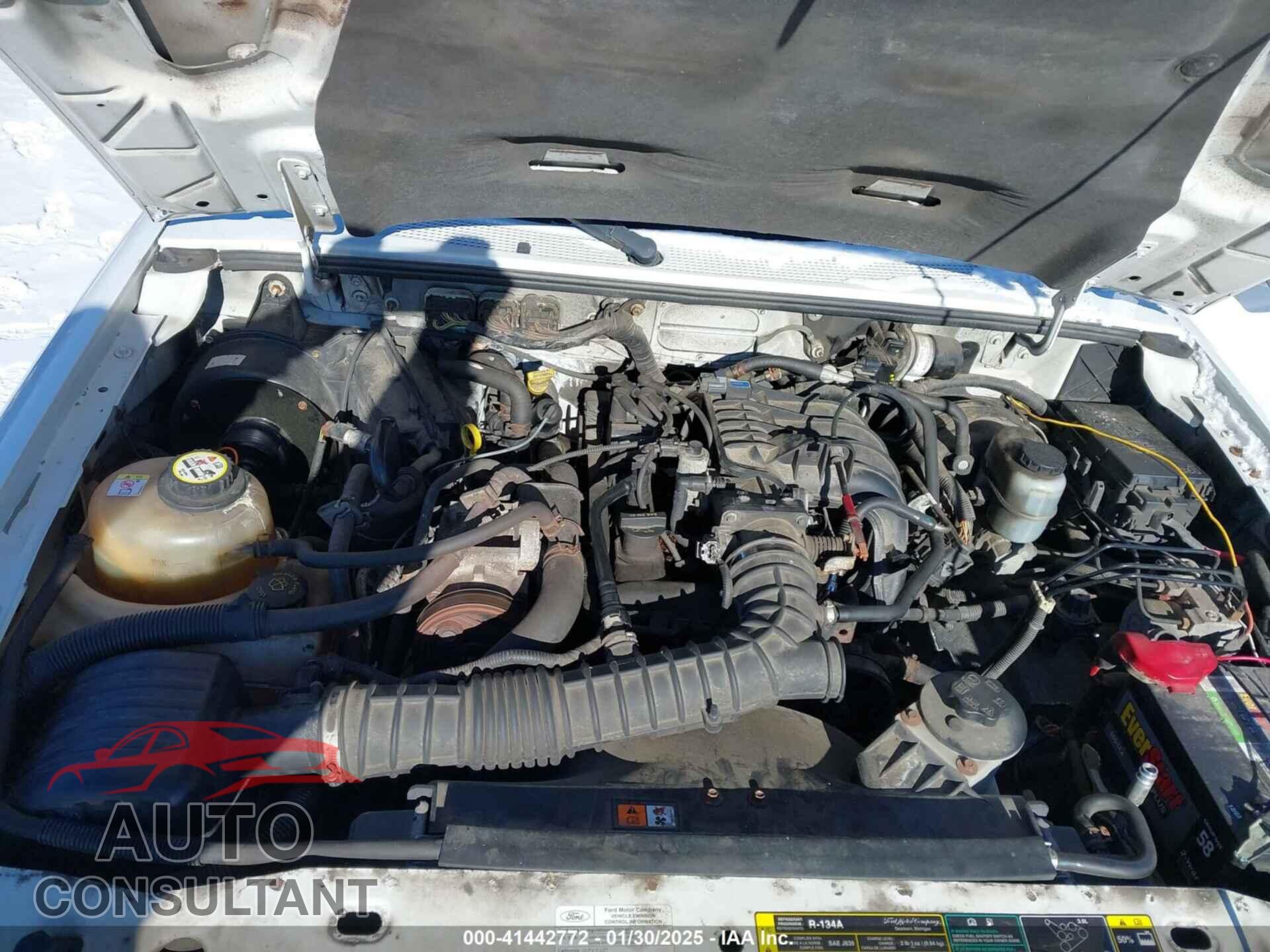 FORD RANGER 2009 - 1FTYR10D79PA30442