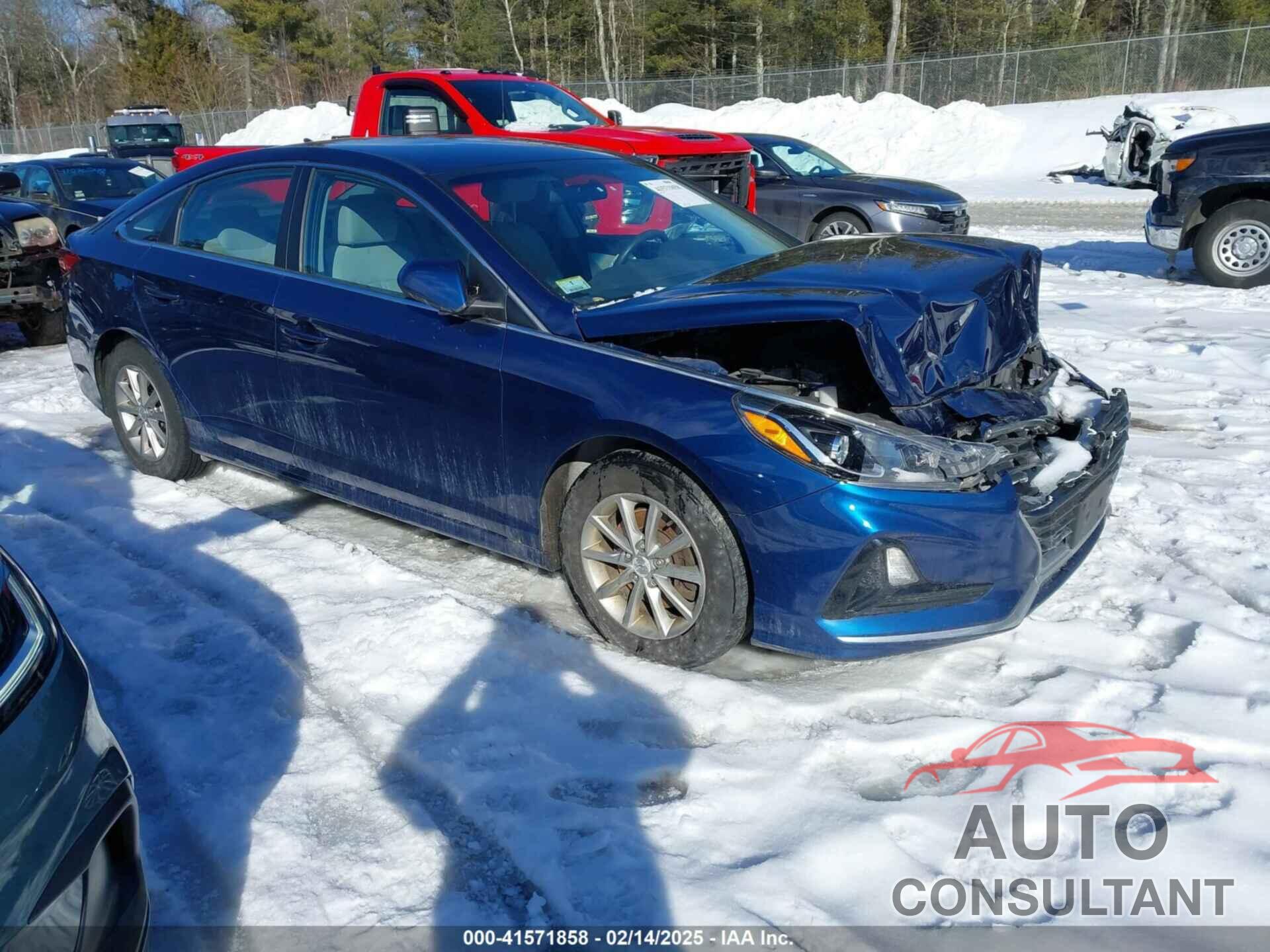 HYUNDAI SONATA 2019 - 5NPE24AF3KH798848