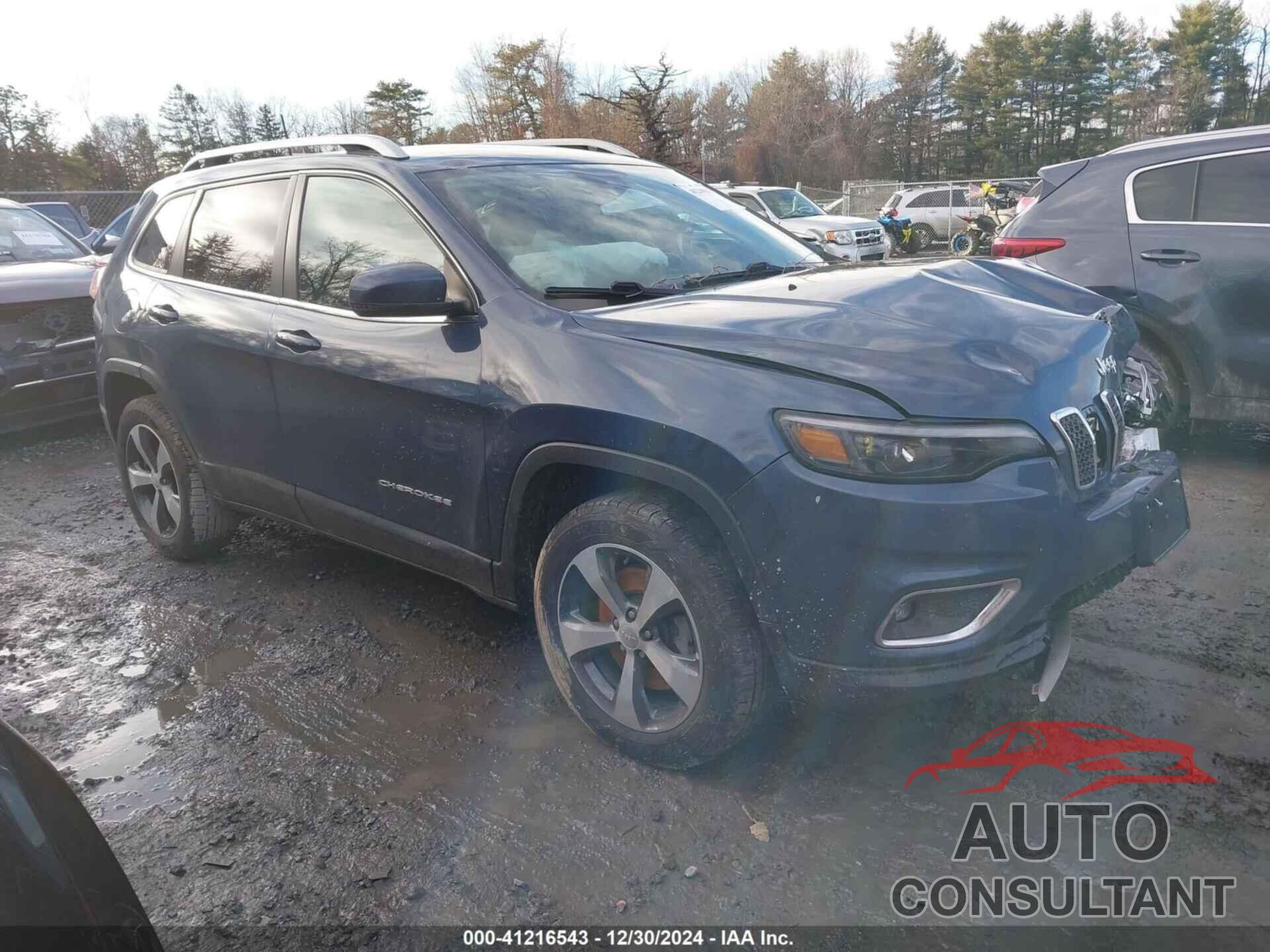 JEEP CHEROKEE 2019 - 1C4PJMDX6KD431111