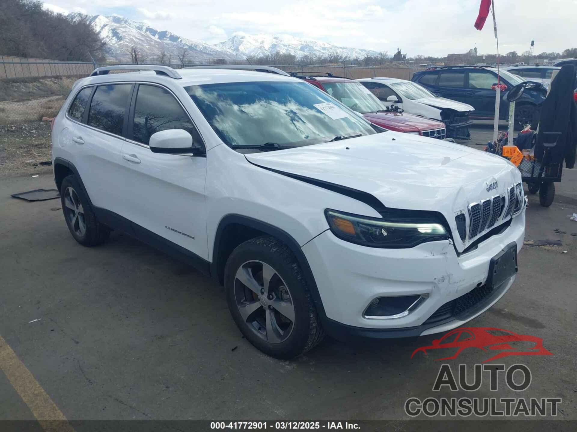 JEEP CHEROKEE 2020 - 1C4PJMDX8LD544589