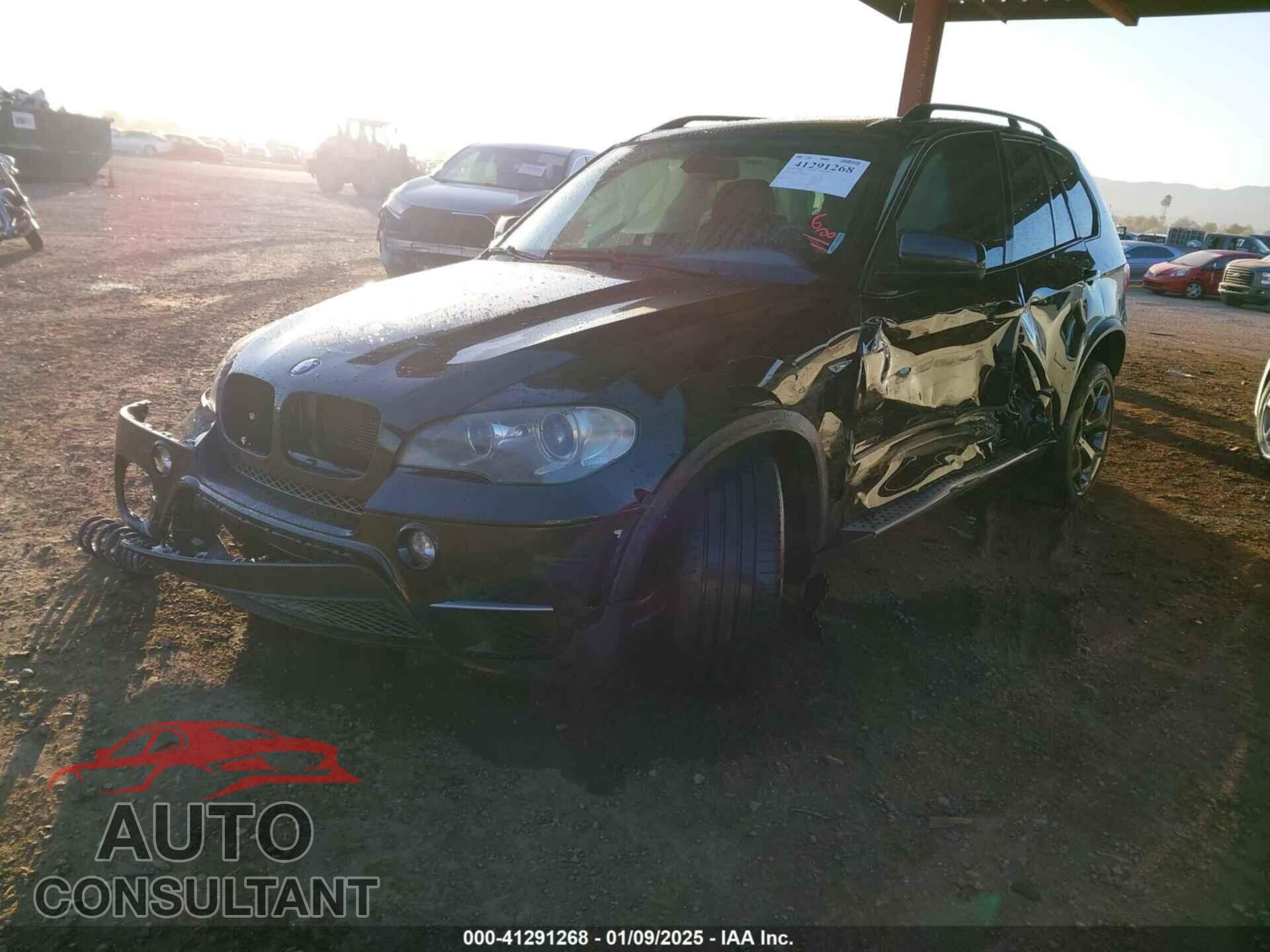 BMW X5 2011 - 5UXZW0C58BL663149