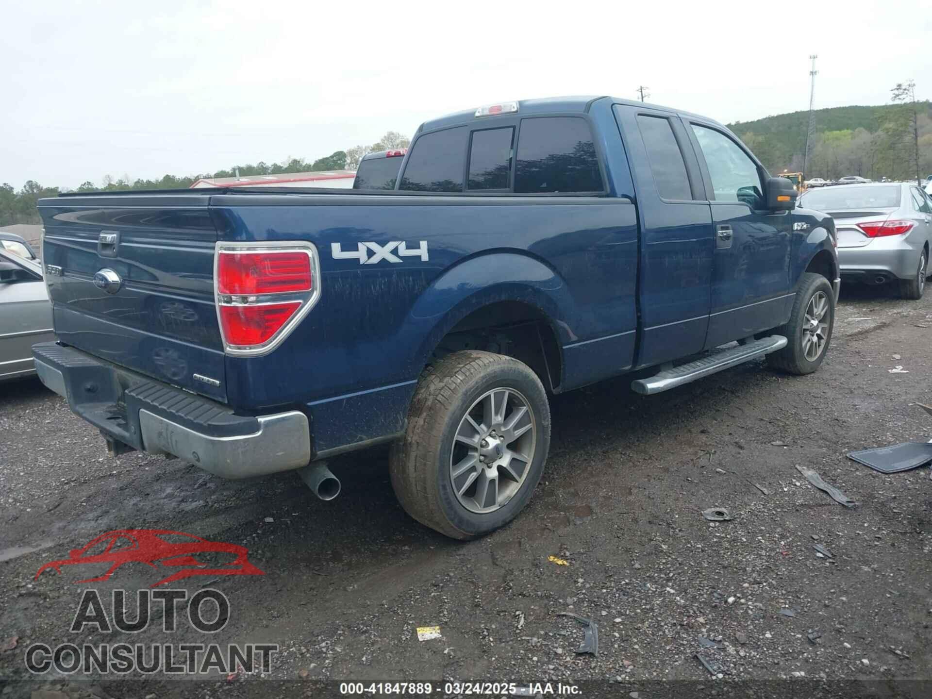 FORD F-150 2013 - 1FTFX1EF5DFD80299