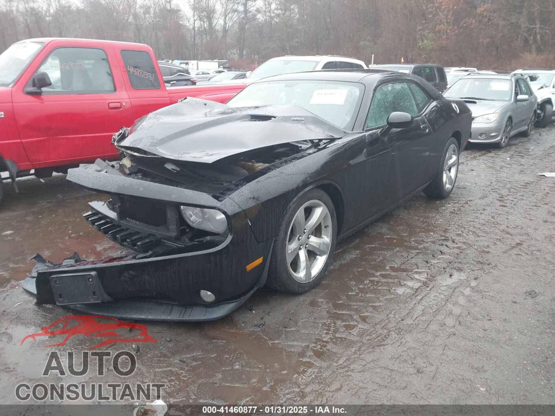 DODGE CHALLENGER 2014 - 2C3CDYBT9EH294240