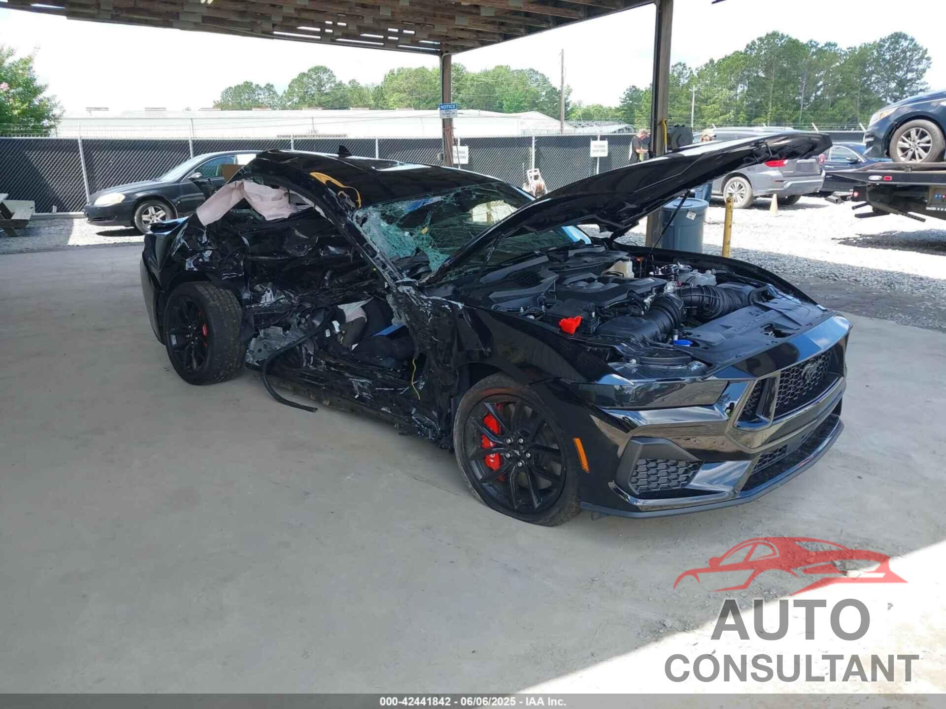FORD MUSTANG 2025 - 1FA6P8CF7S5400976