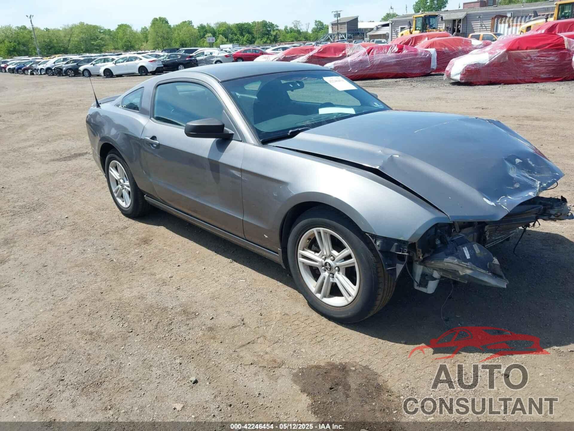 FORD MUSTANG 2013 - 1ZVBP8AM3D5208951