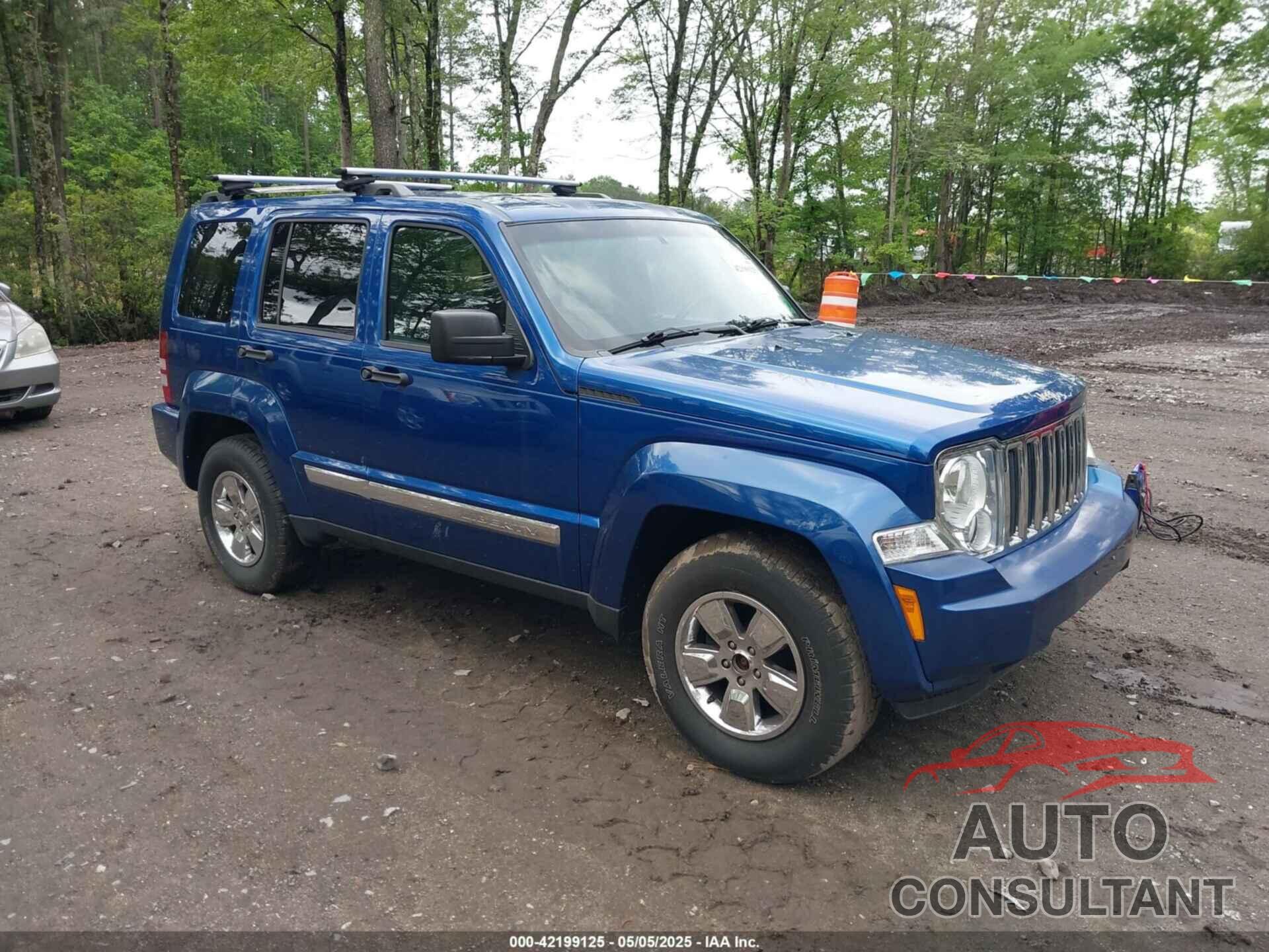 JEEP LIBERTY 2009 - 1J8GN58K19W539796