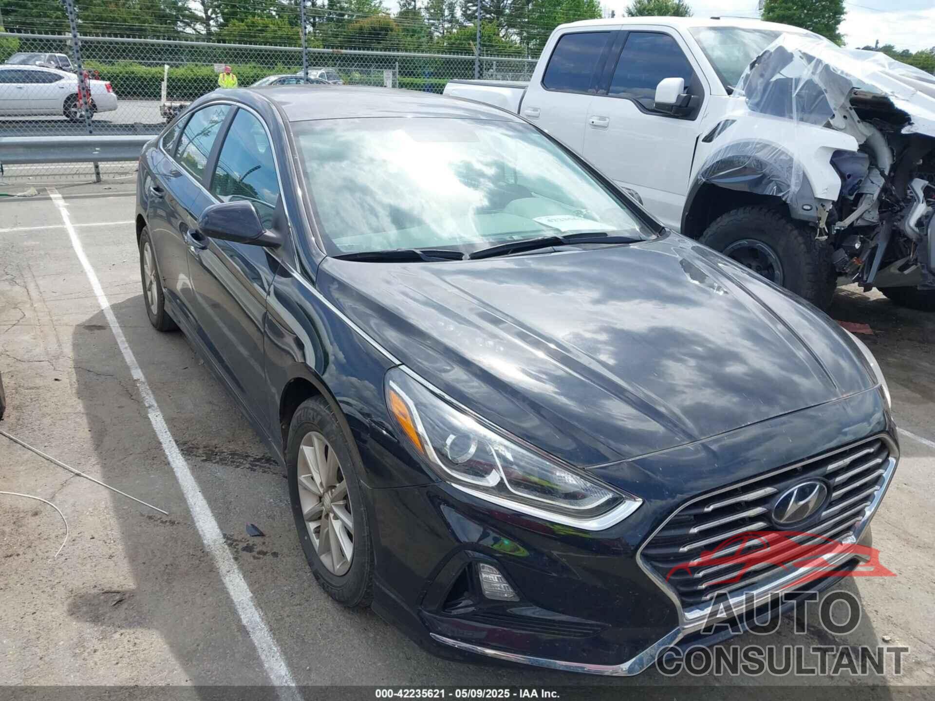 HYUNDAI SONATA 2019 - 5NPE24AF7KH740516