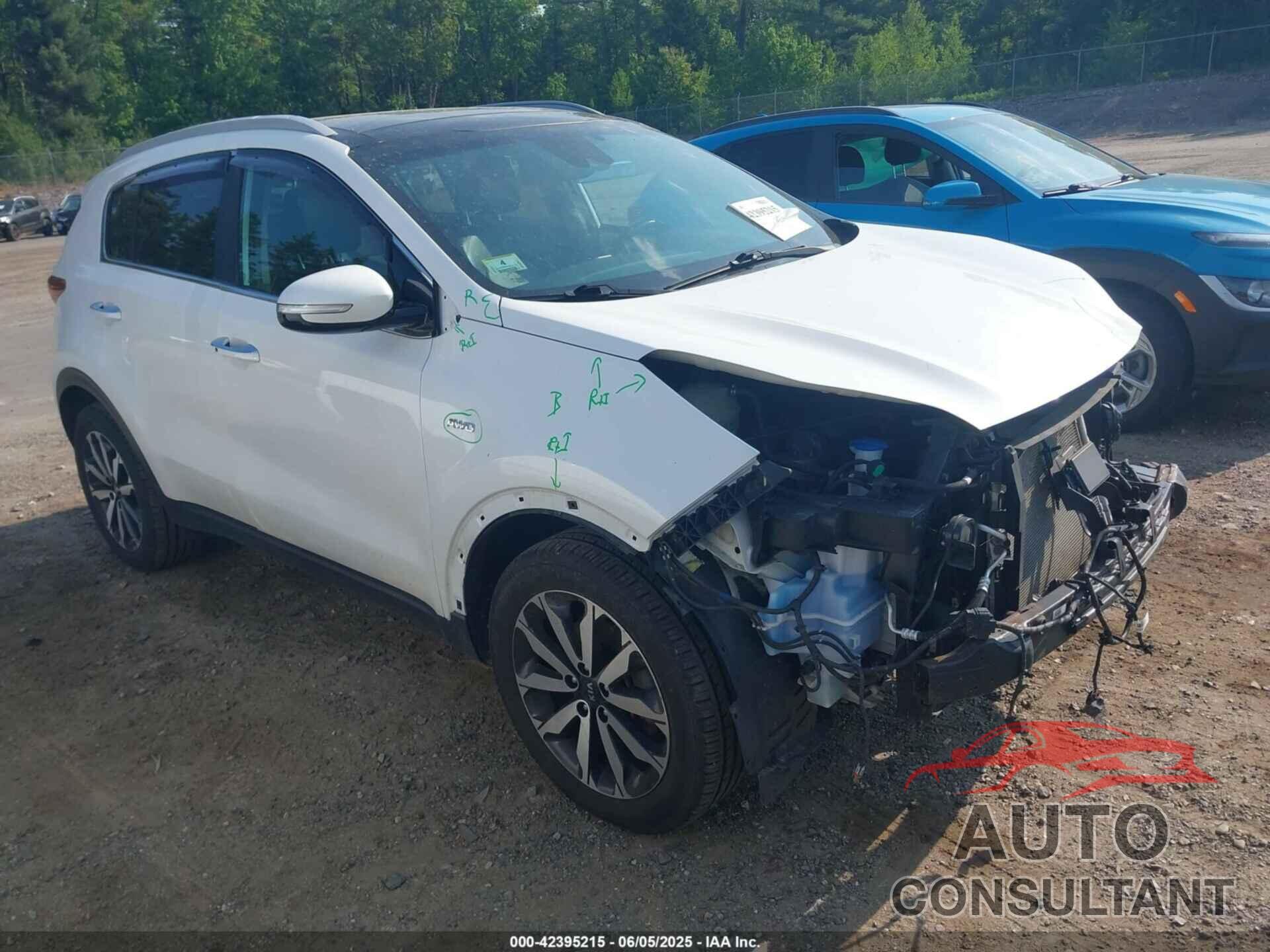 KIA SPORTAGE 2017 - KNDPNCAC2H7224674