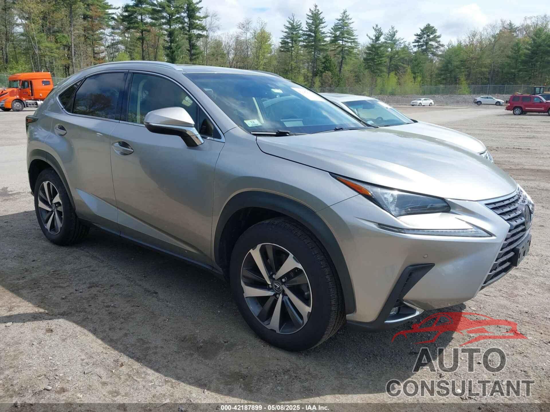 LEXUS NX 300 2019 - JTJBARBZ5K2216789