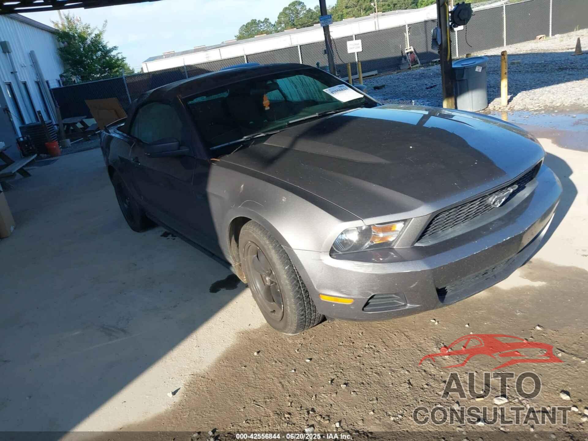 FORD MUSTANG 2010 - 1ZVBP8ENXA5171928