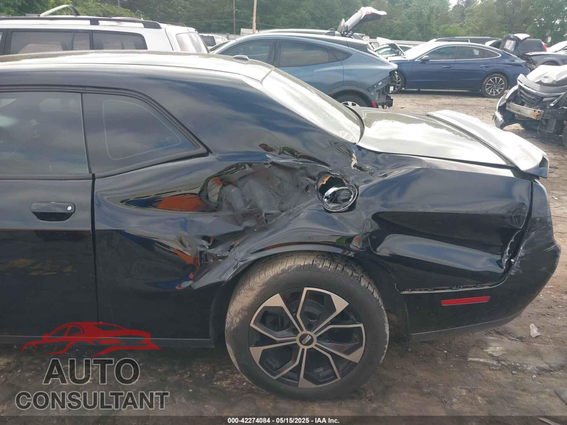 DODGE CHALLENGER 2019 - 2C3CDZAG4KH669246