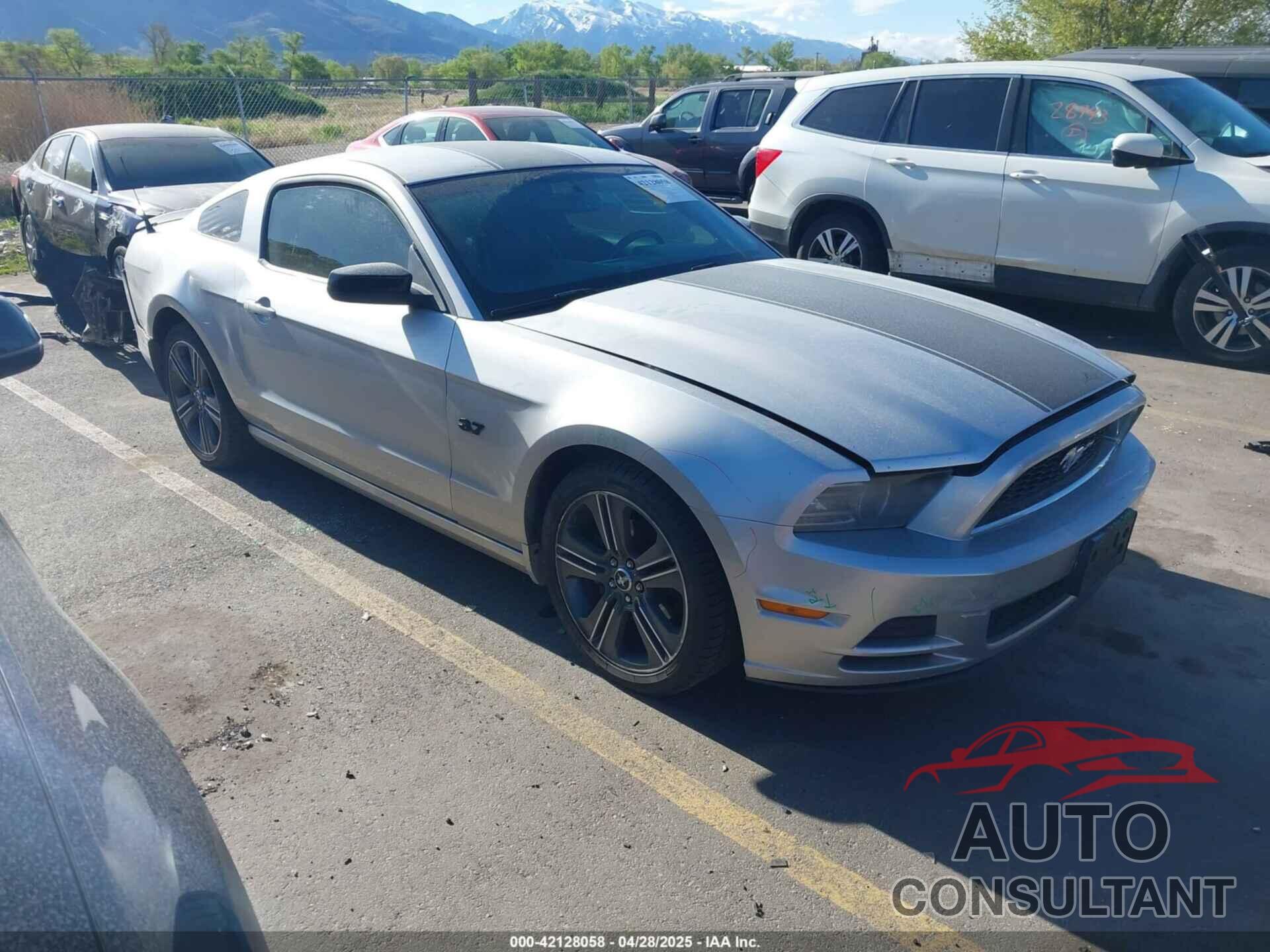 FORD MUSTANG 2013 - 1ZVBP8AM1D5279453
