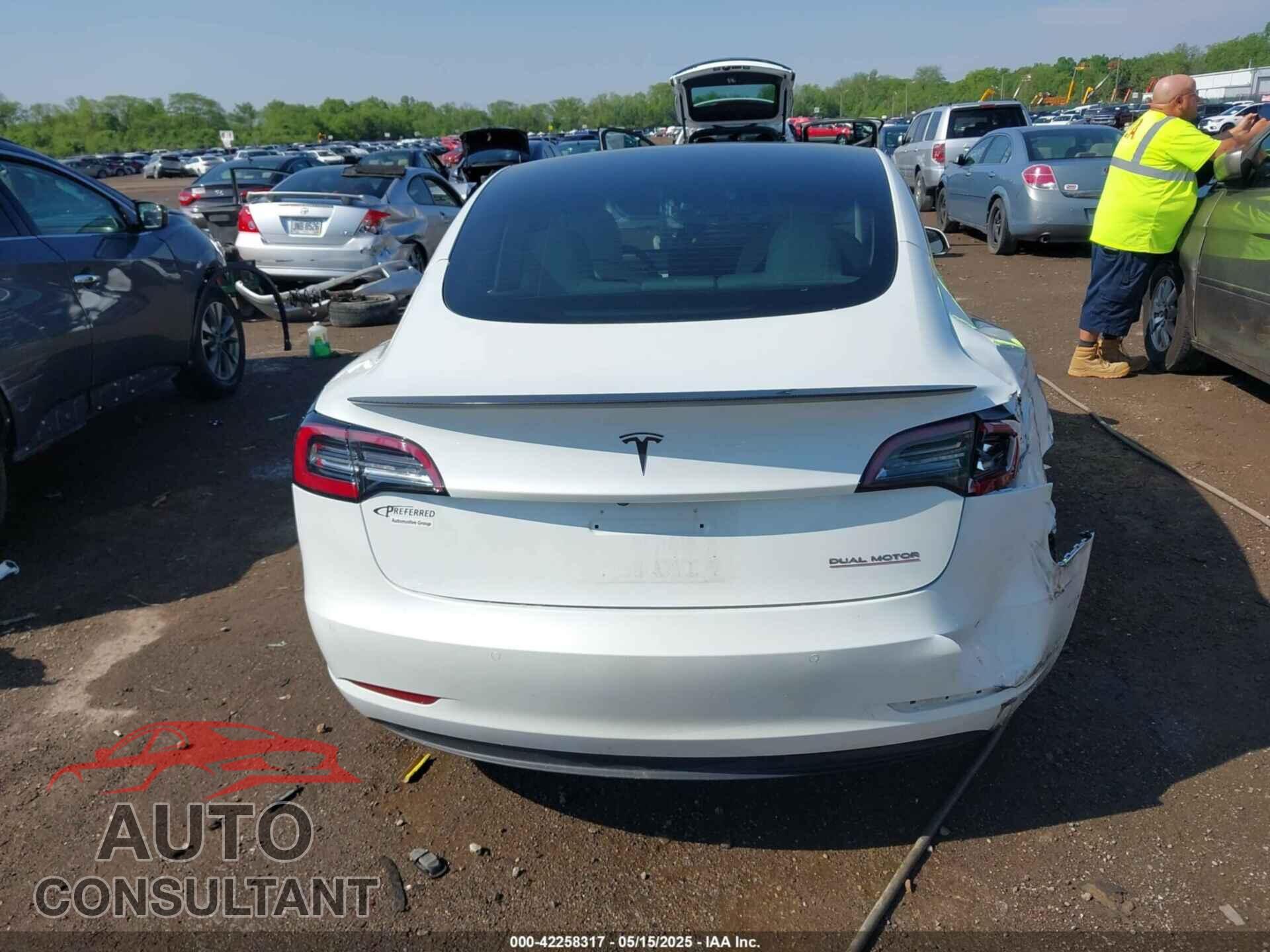 TESLA MODEL 3 2021 - 5YJ3E1EC7MF919282