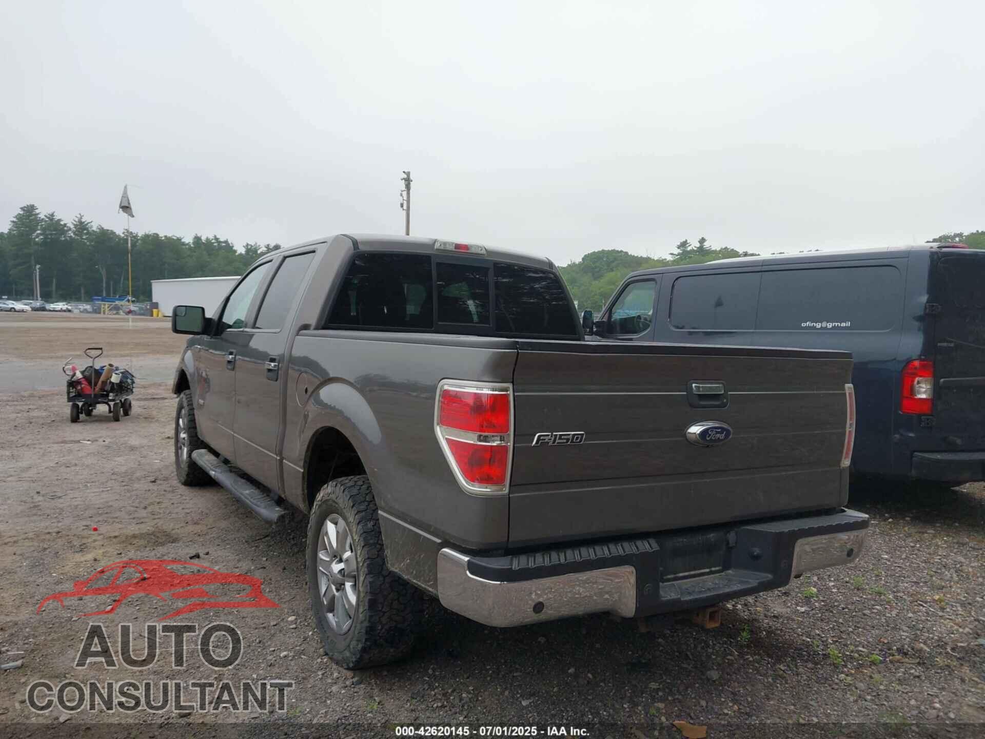 FORD F150 2013 - 1FTFW1ET2DFD87431