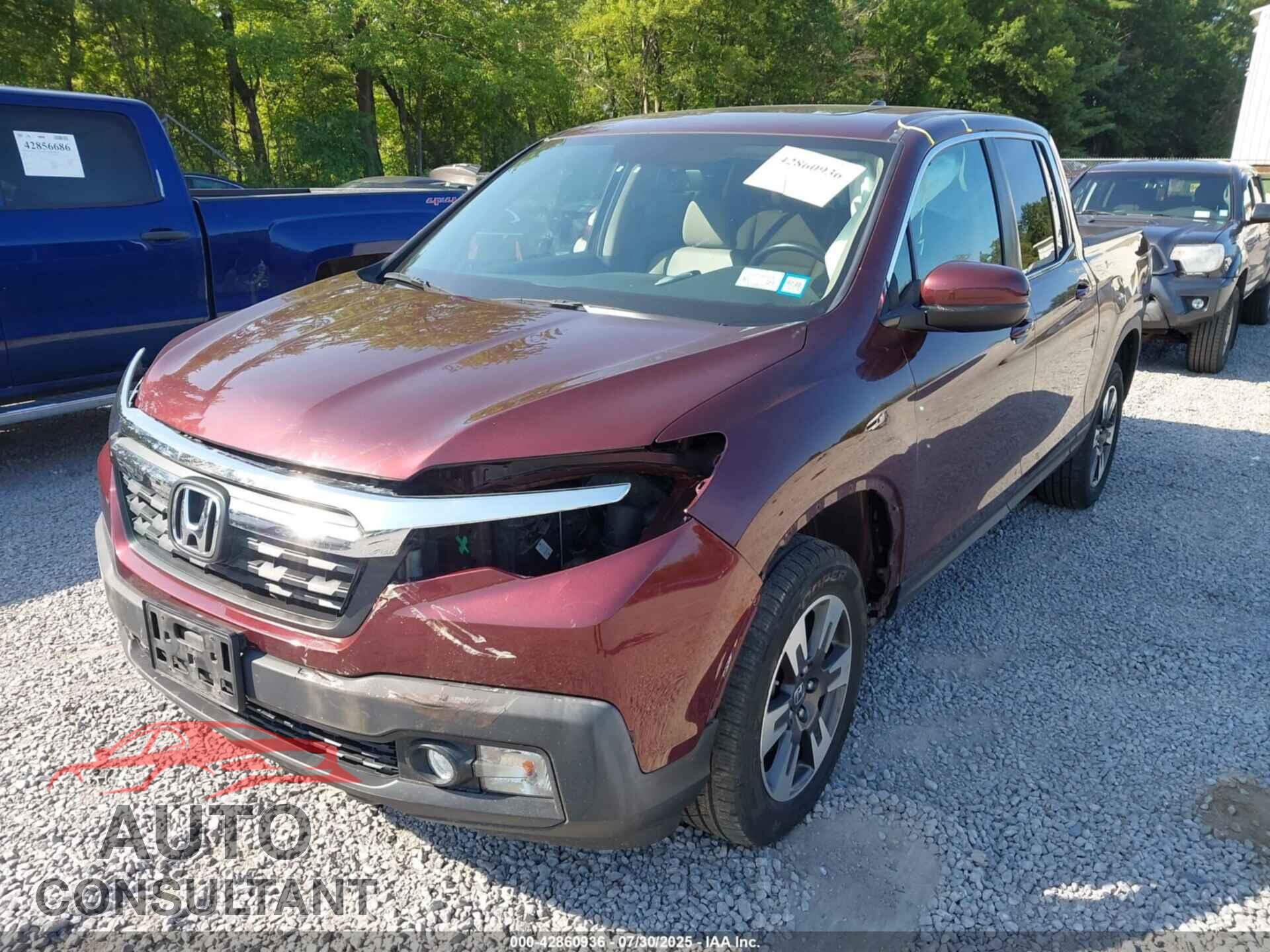 HONDA RIDGELINE 2019 - 5FPYK3F68KB033608