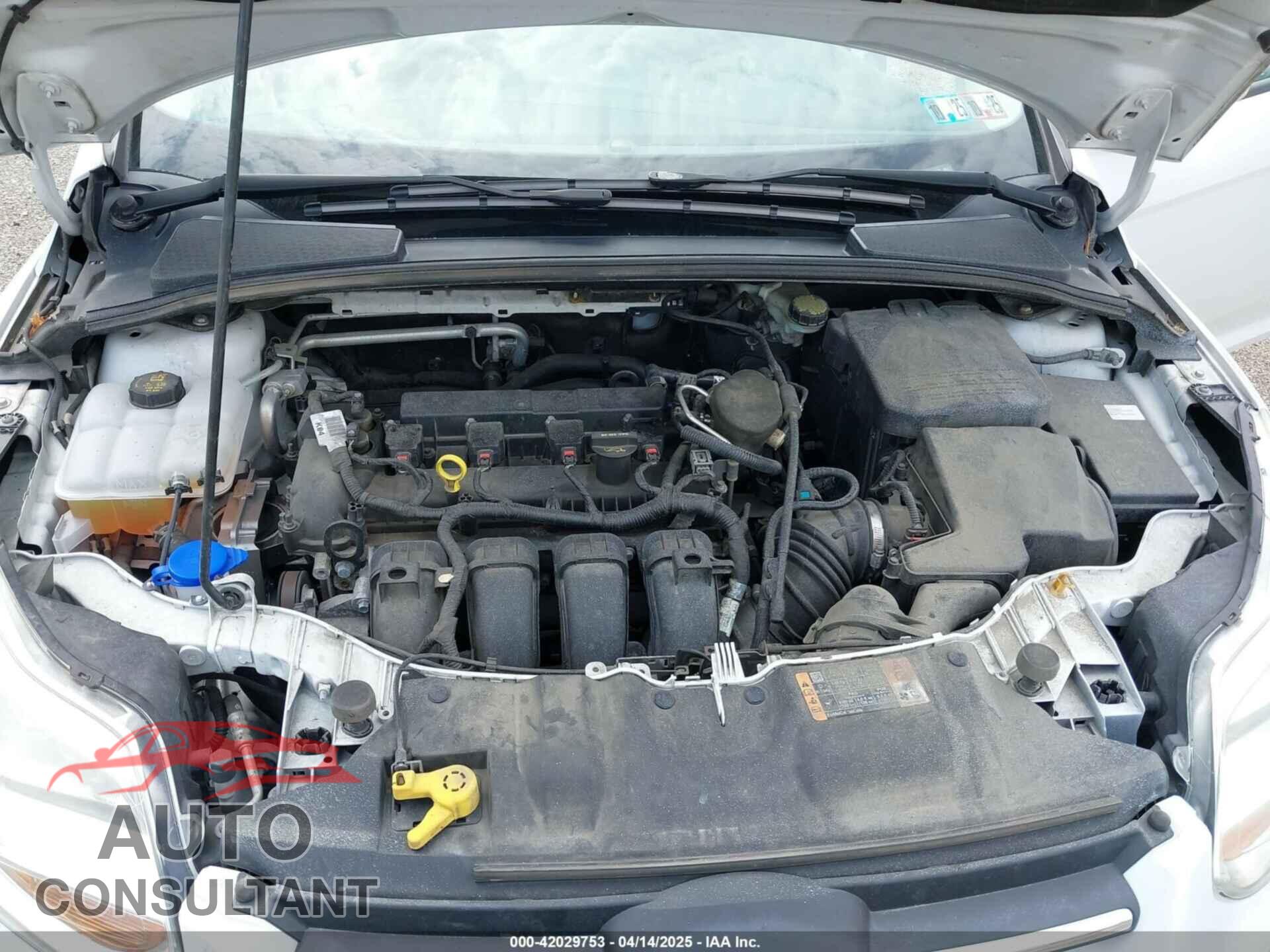 FORD FOCUS 2014 - 1FADP3K28EL291260