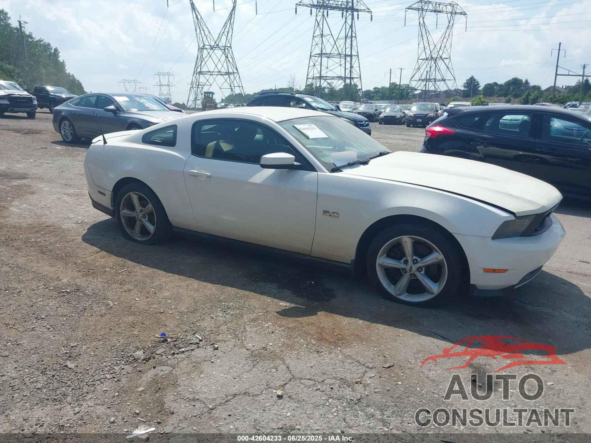 FORD MUSTANG 2011 - 1ZVBP8CF7B5130783