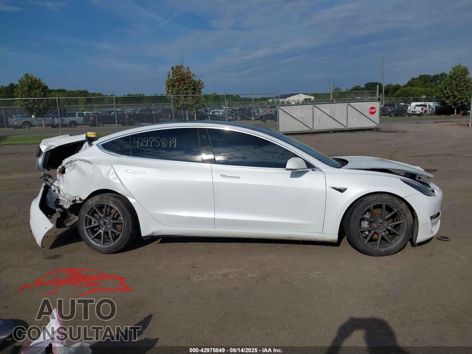 TESLA MODEL 3 2019 - 5YJ3E1EB2KF510594