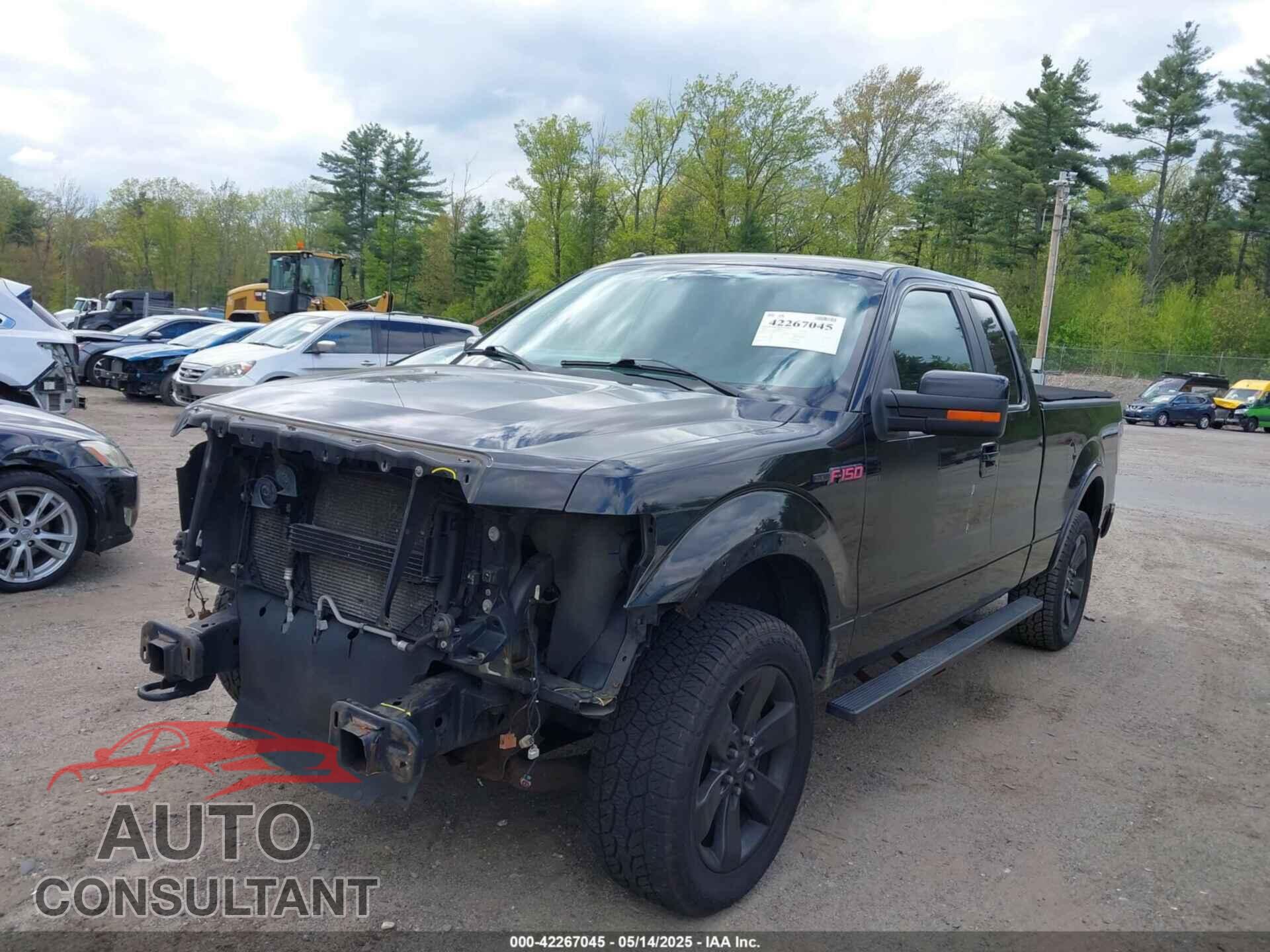 FORD F-150 2012 - 1FTFX1EF4CFC46303