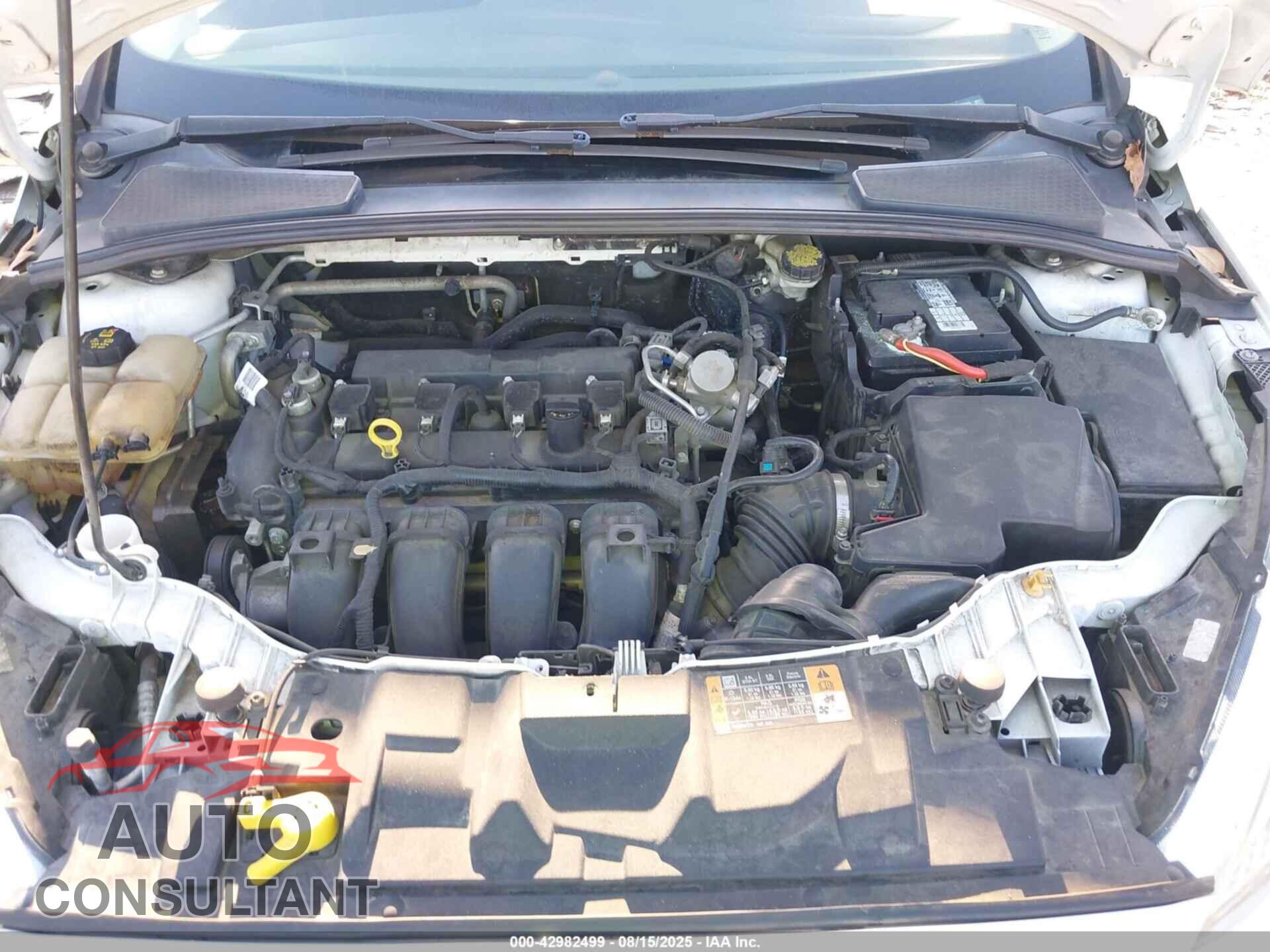 FORD FOCUS 2016 - 1FADP3E28GL393768