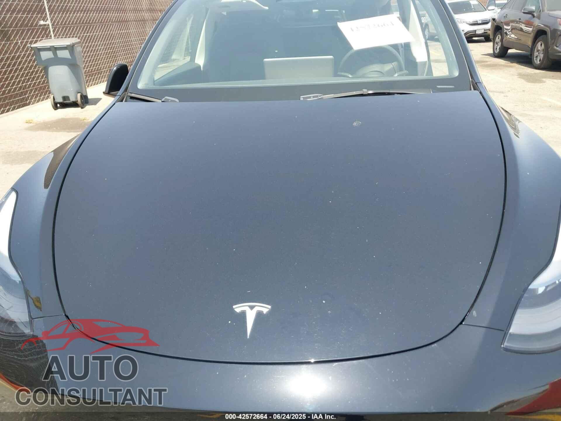 TESLA MODEL Y 2024 - 7SAYGDEF7RF058563