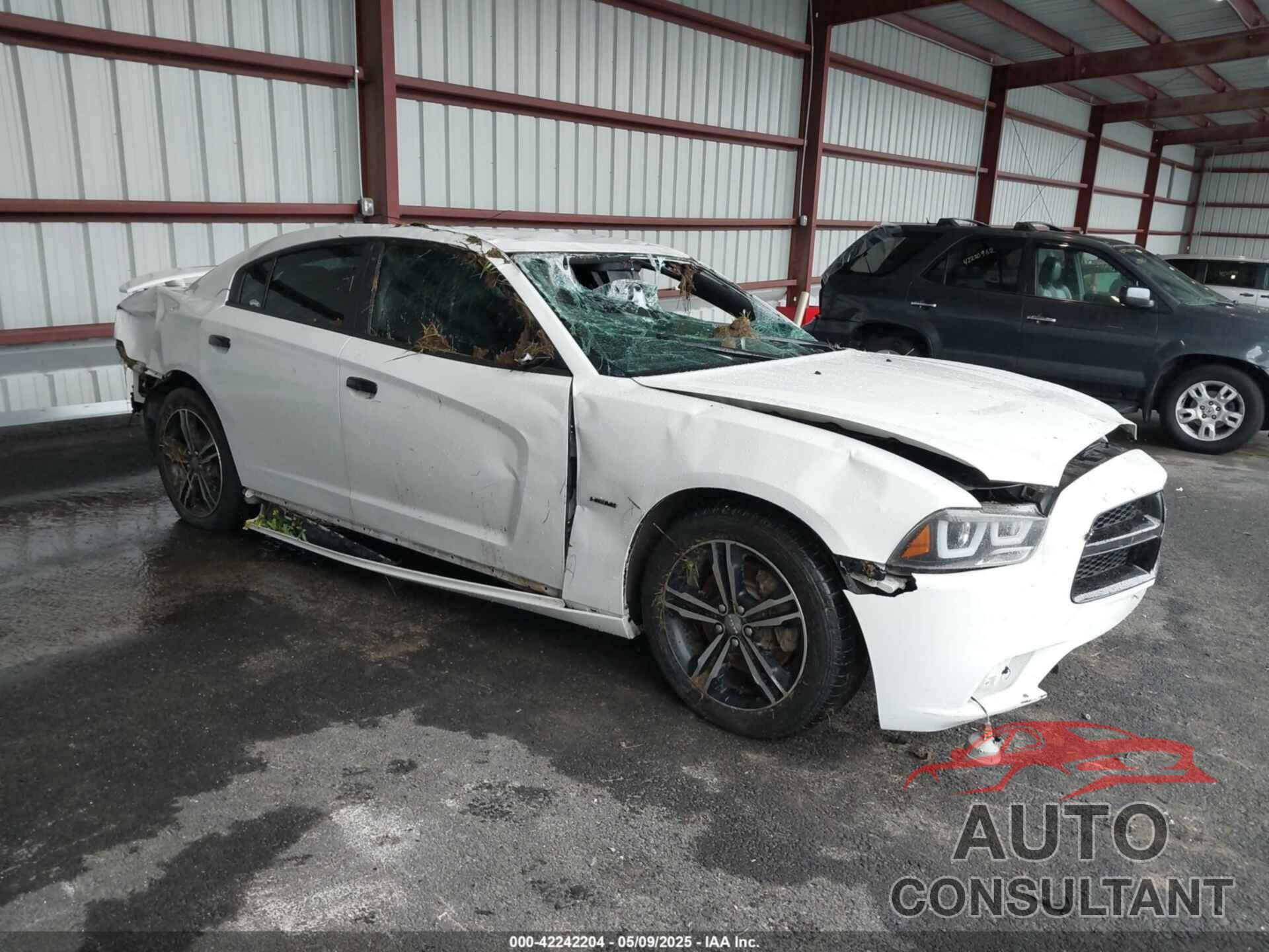 DODGE CHARGER 2014 - 2C3CDXDT0EH319887