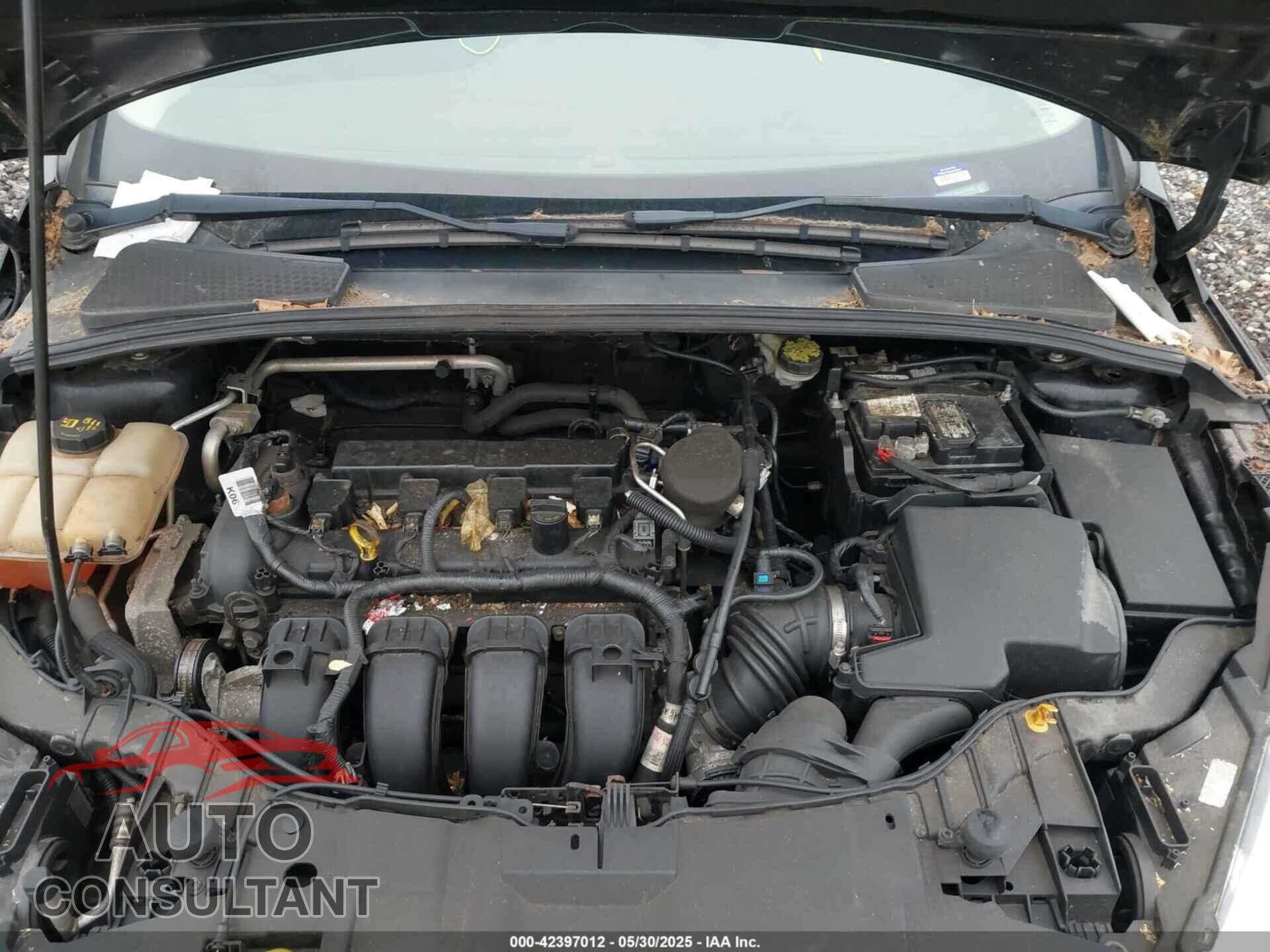 FORD FOCUS 2016 - 1FADP3F28GL274603
