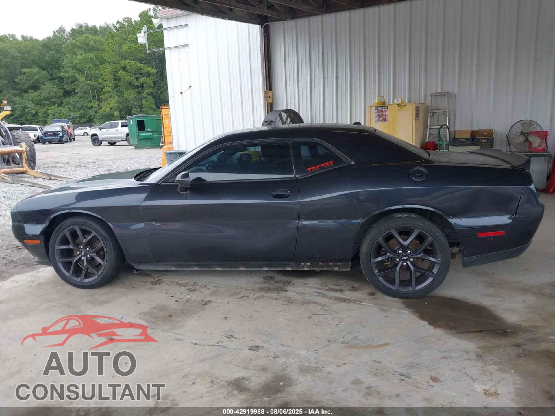 DODGE CHALLENGER 2019 - 2C3CDZAG8KH566699