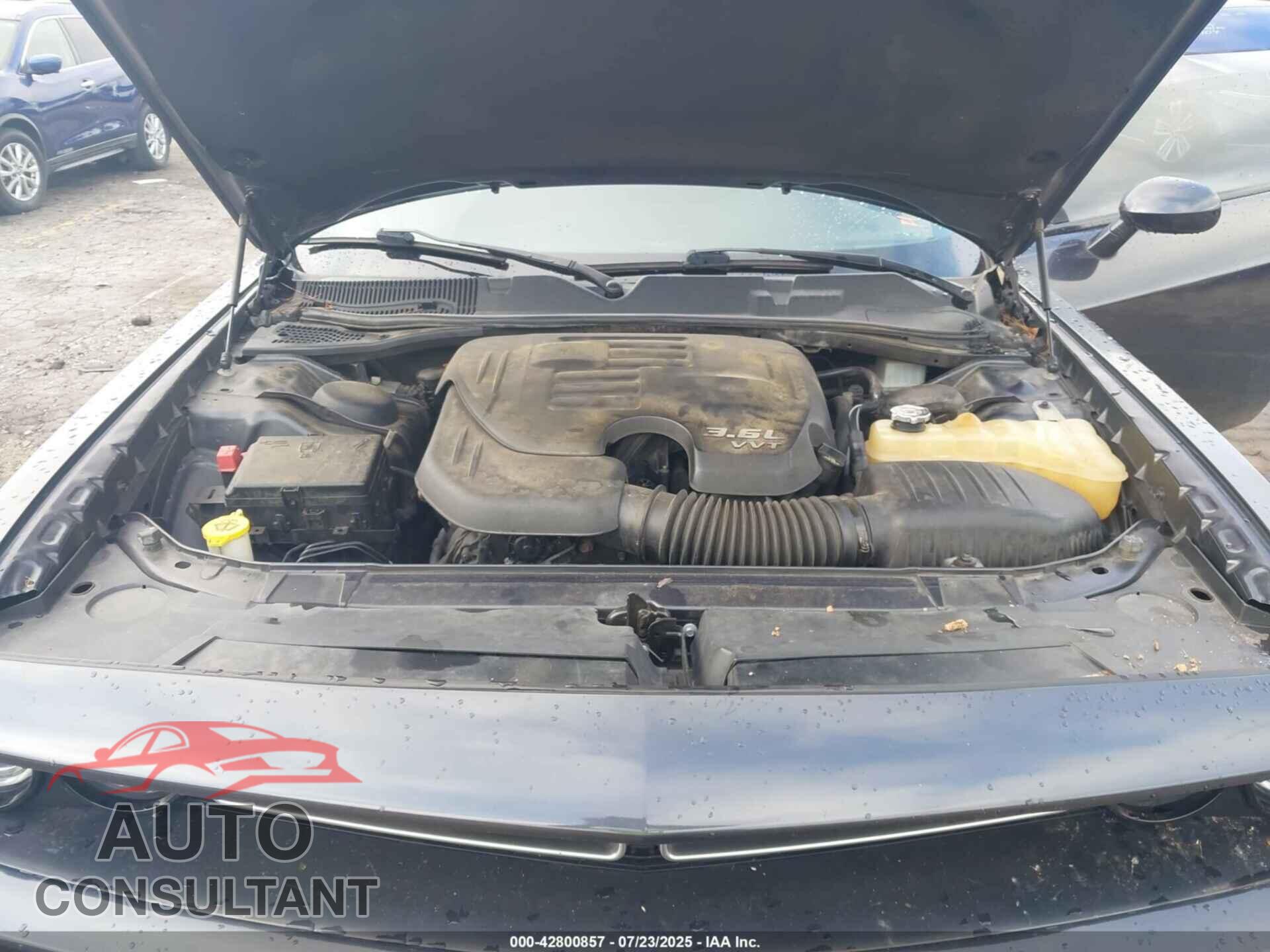 DODGE CHALLENGER 2019 - 2C3CDZAG9KH531752