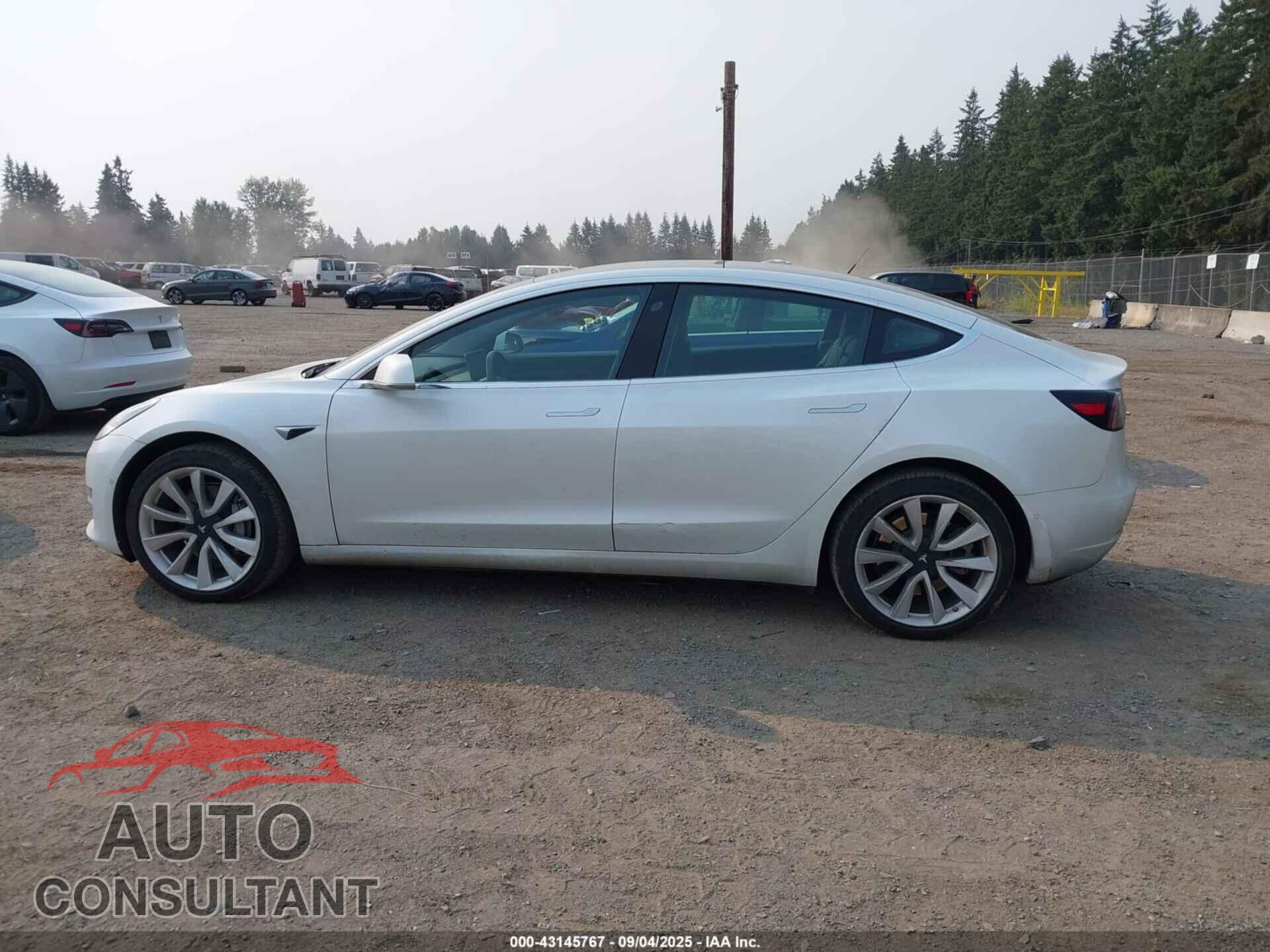 TESLA MODEL 3 2020 - 5YJ3E1EA2LF634261