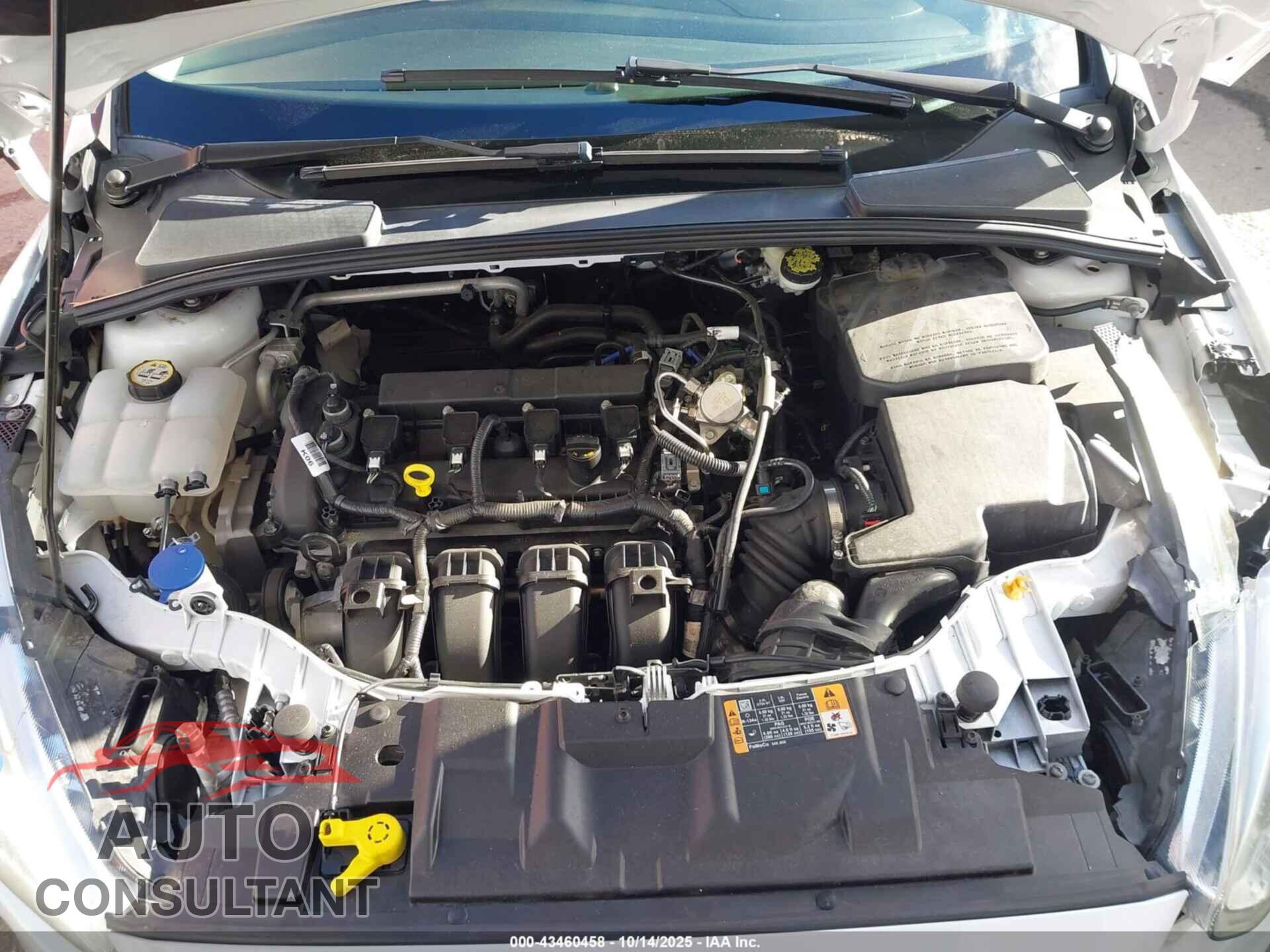 FORD FOCUS 2016 - 1FADP3K28GL337740