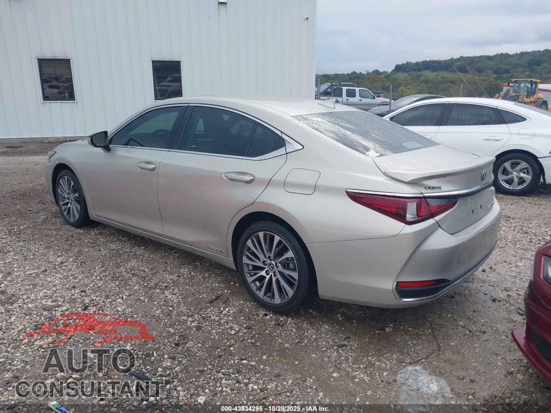 LEXUS ES 300H 2021 - 58ADA1C19MU001725