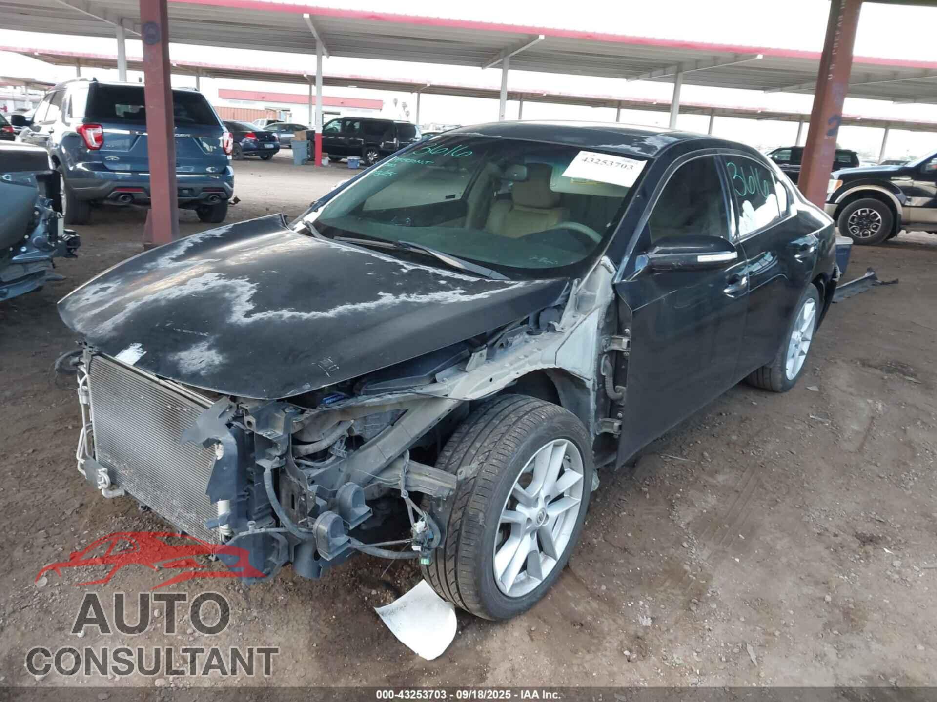 NISSAN MAXIMA 2010 - 1N4AA5AP4AC847443