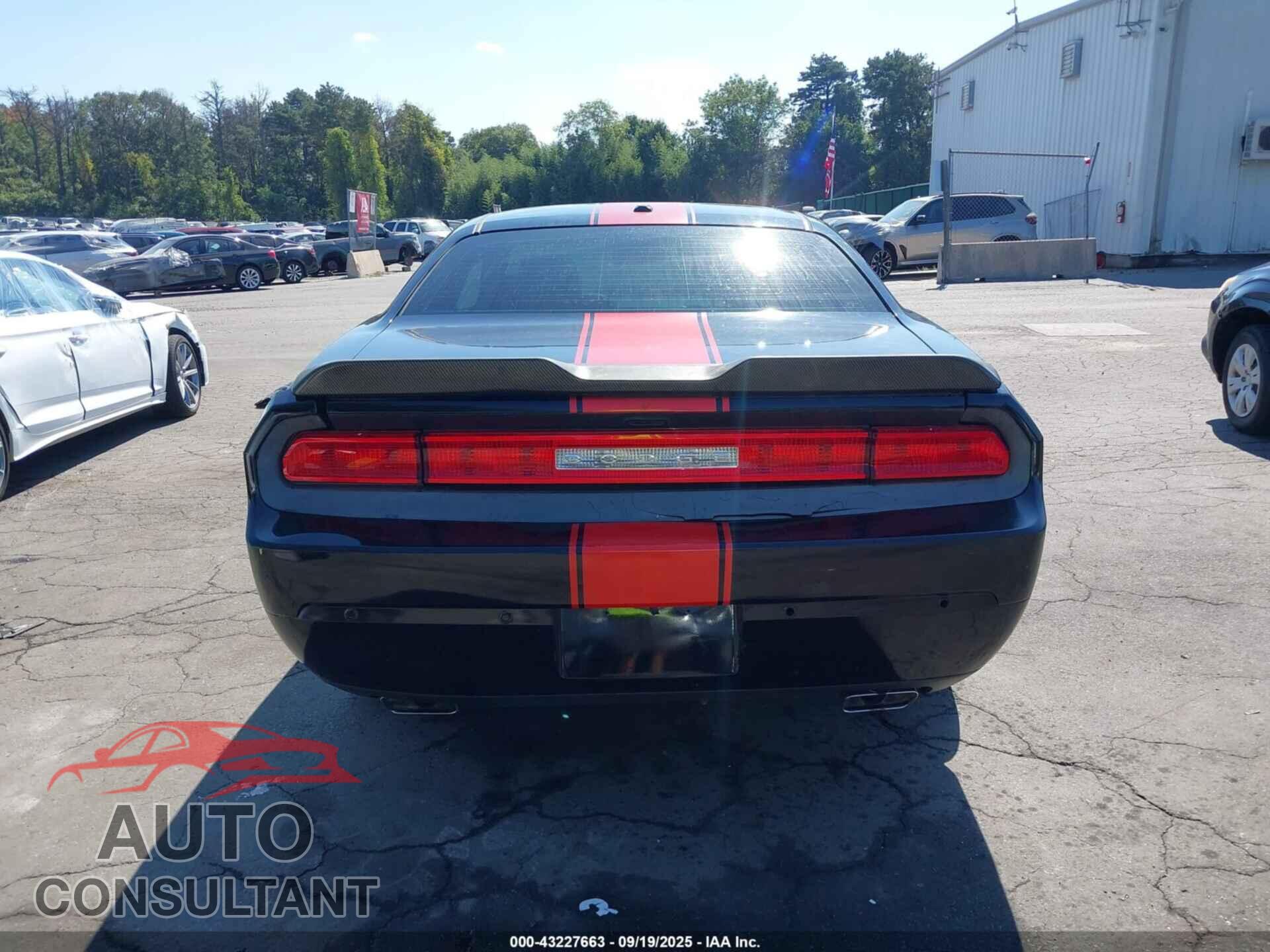 DODGE CHALLENGER 2013 - 2C3CDYAG2DH724404