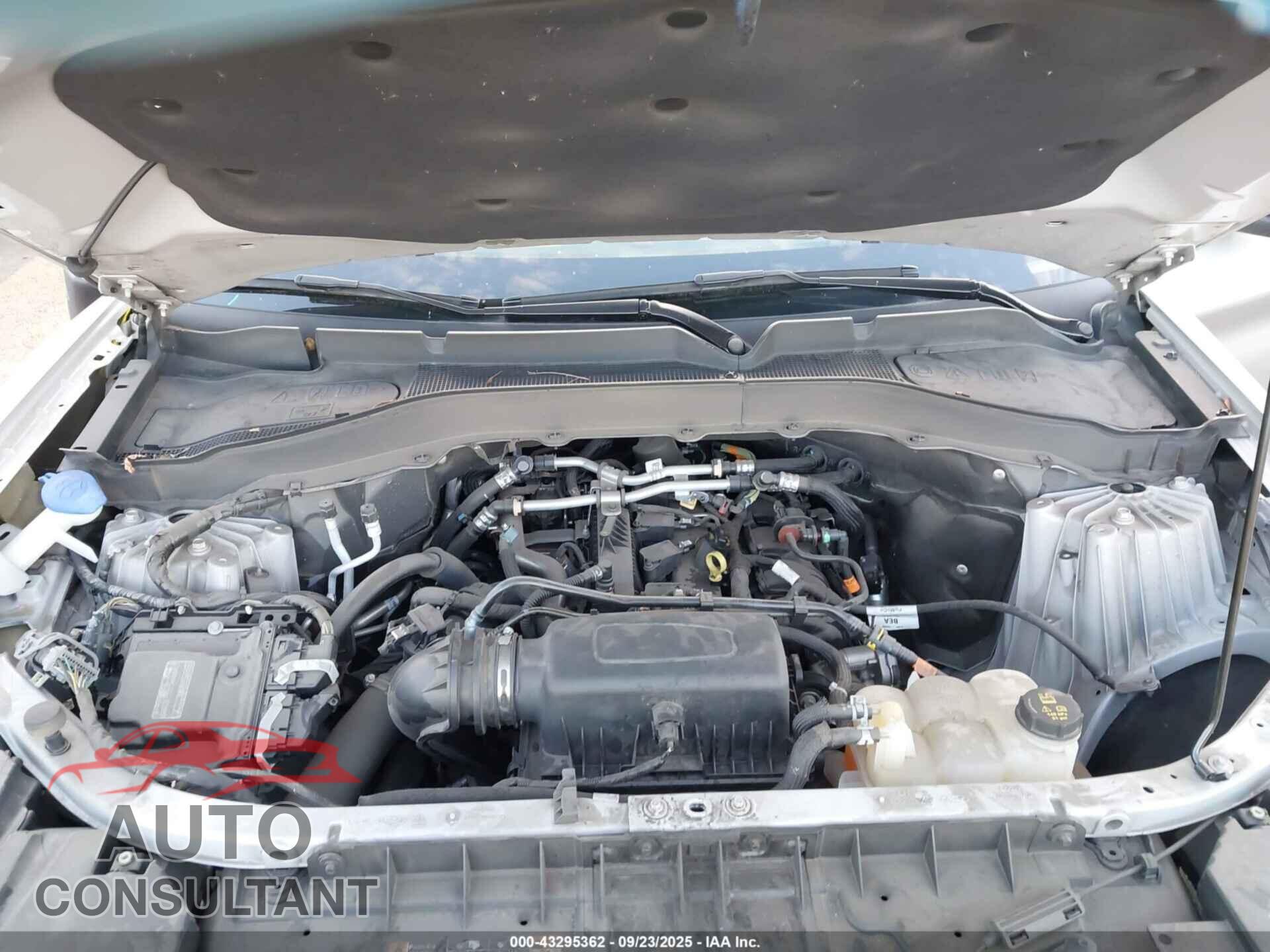FORD EXPLORER 2022 - 1FMSK7DH1NGC48442