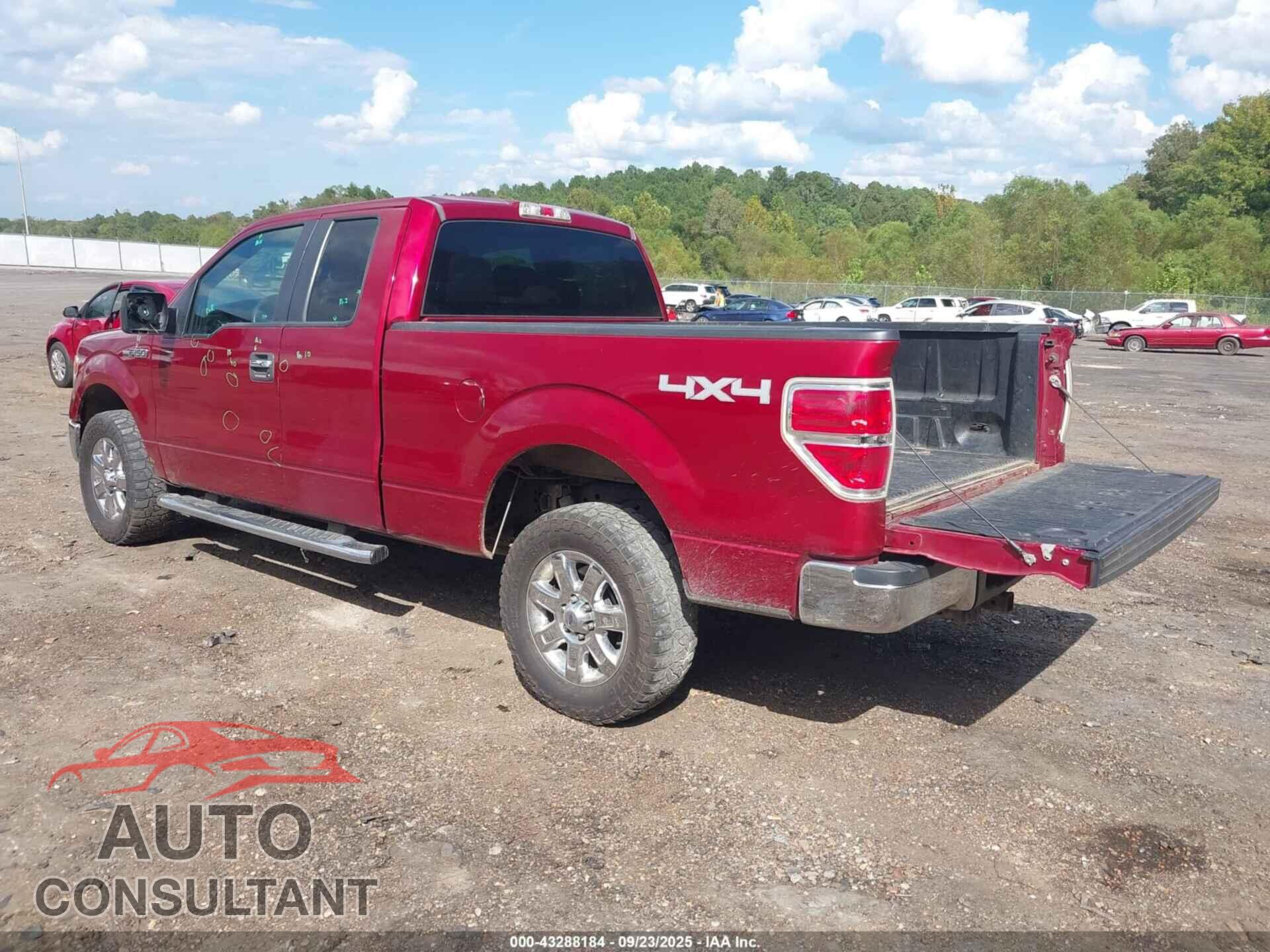 FORD F-150 2013 - 1FTFX1EF2DFB08311