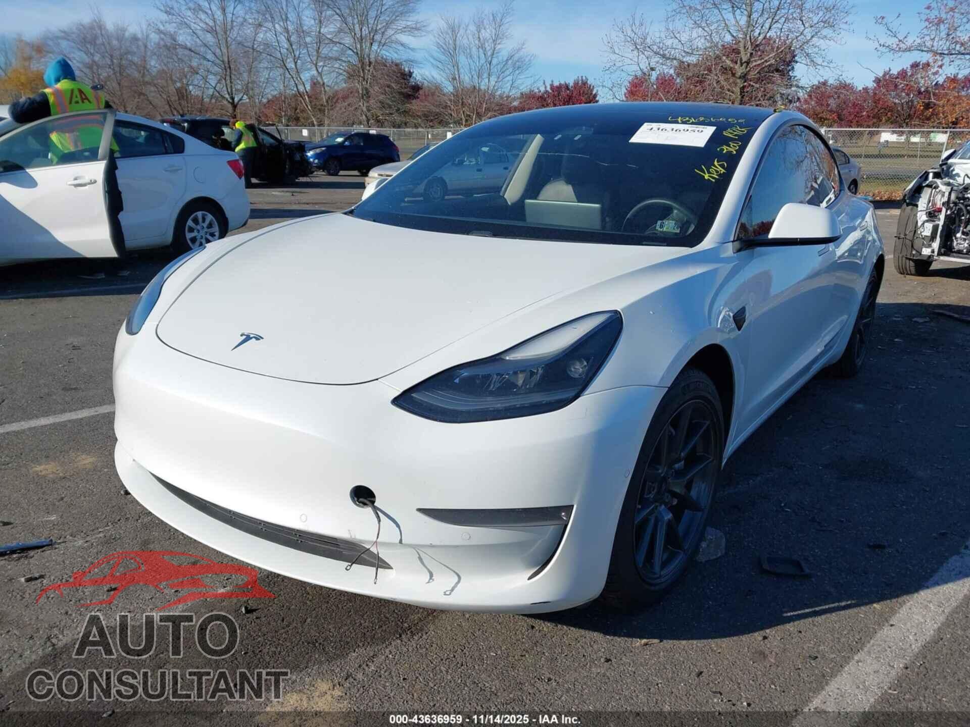 TESLA MODEL 3 2021 - 5YJ3E1EA2MF987066