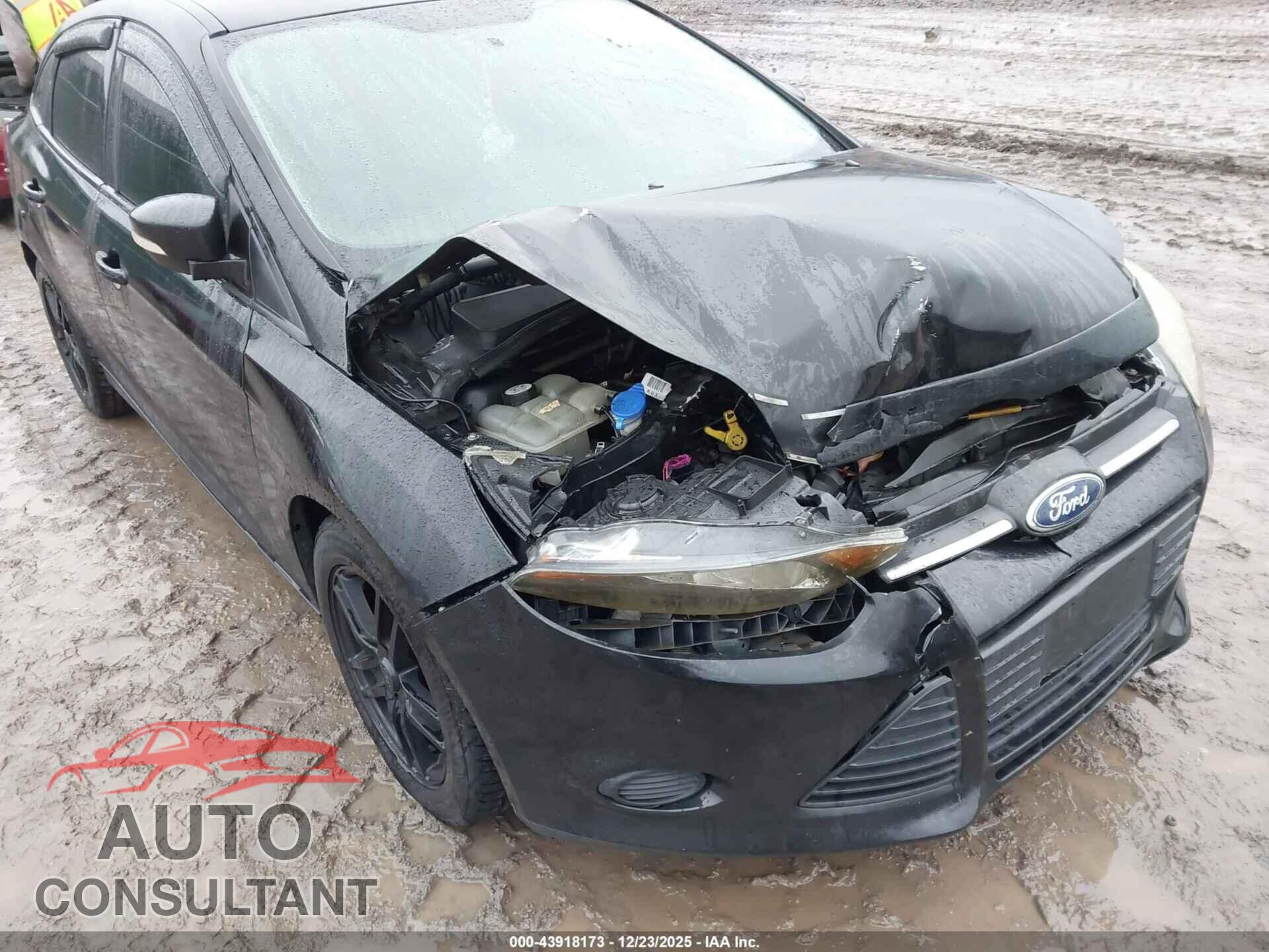 FORD FOCUS 2013 - 1FADP3F27DL306436