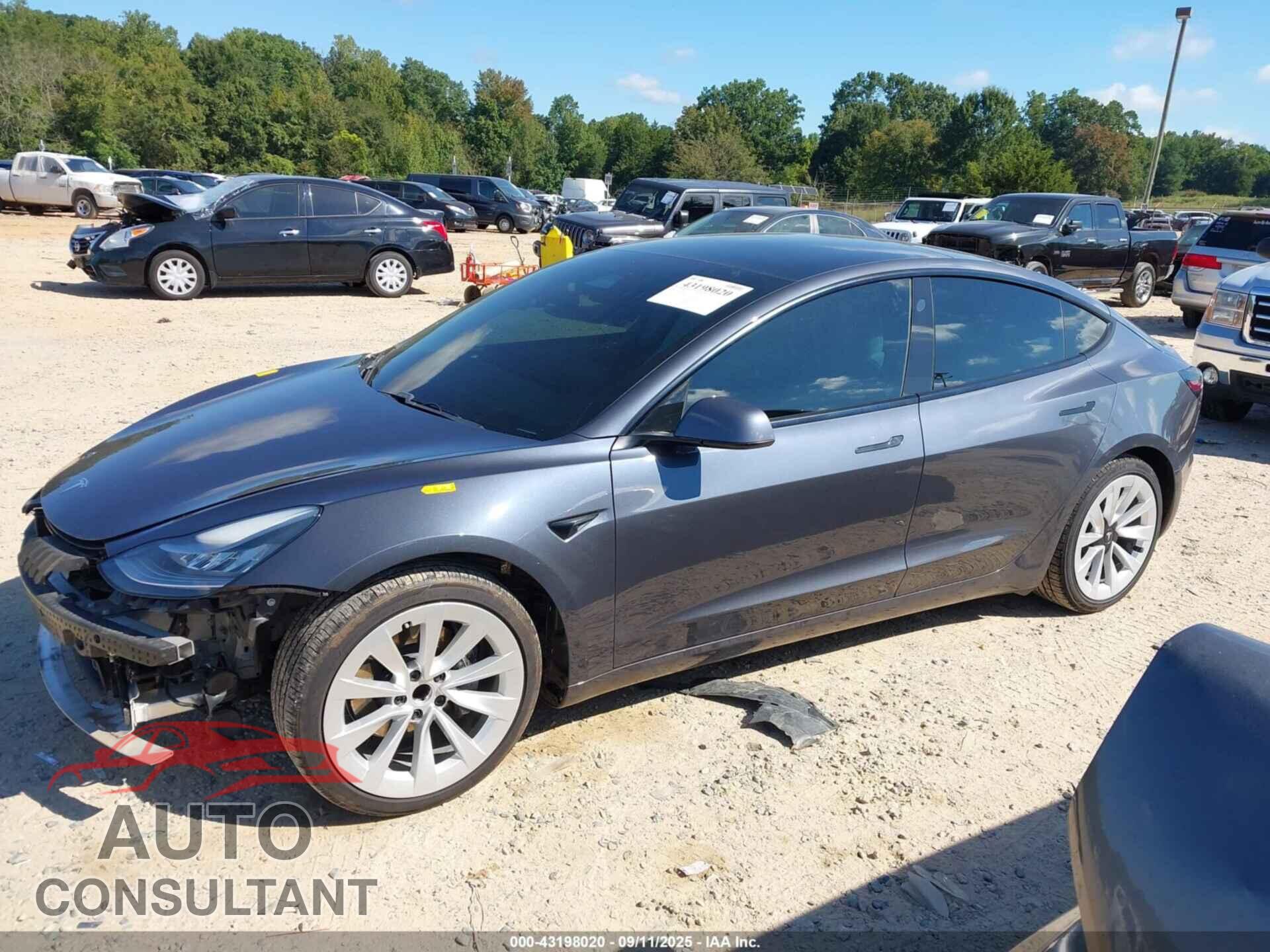 TESLA MODEL 3 2021 - 5YJ3E1EA1MF853844