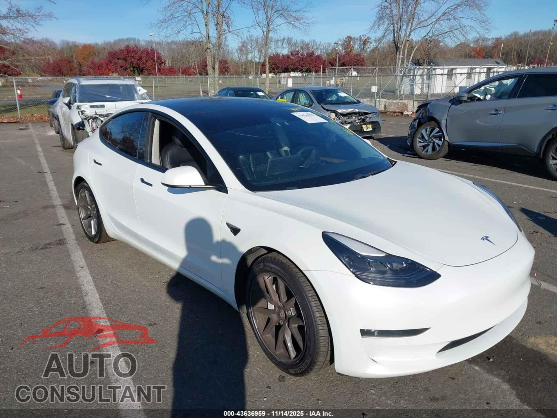 TESLA MODEL 3 2021 - 5YJ3E1EA2MF987066