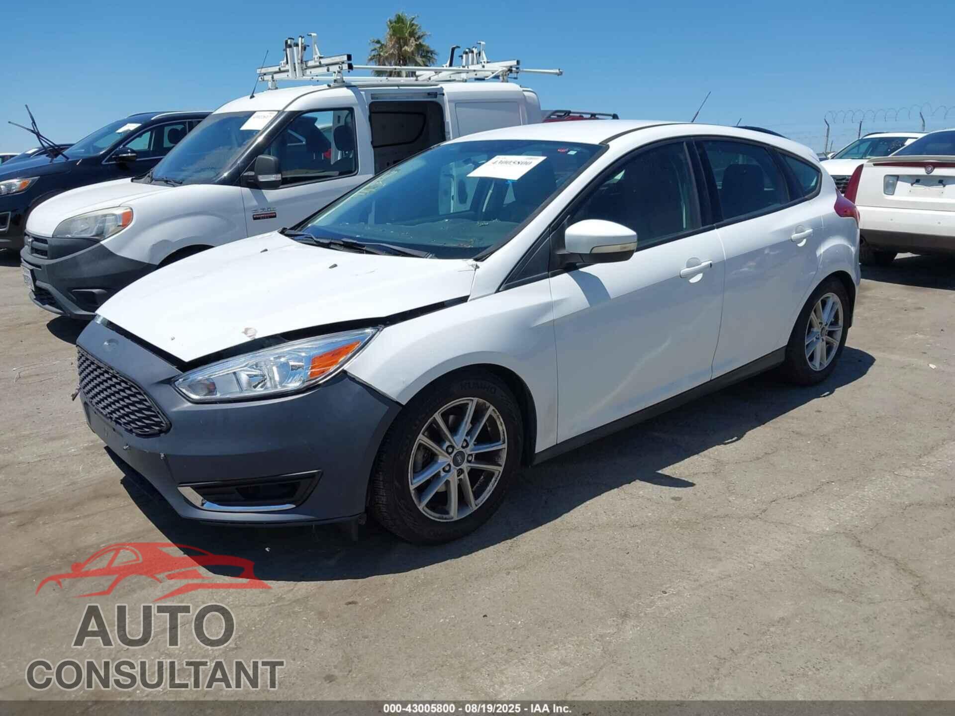 FORD FOCUS 2016 - 1FADP3K21GL294892