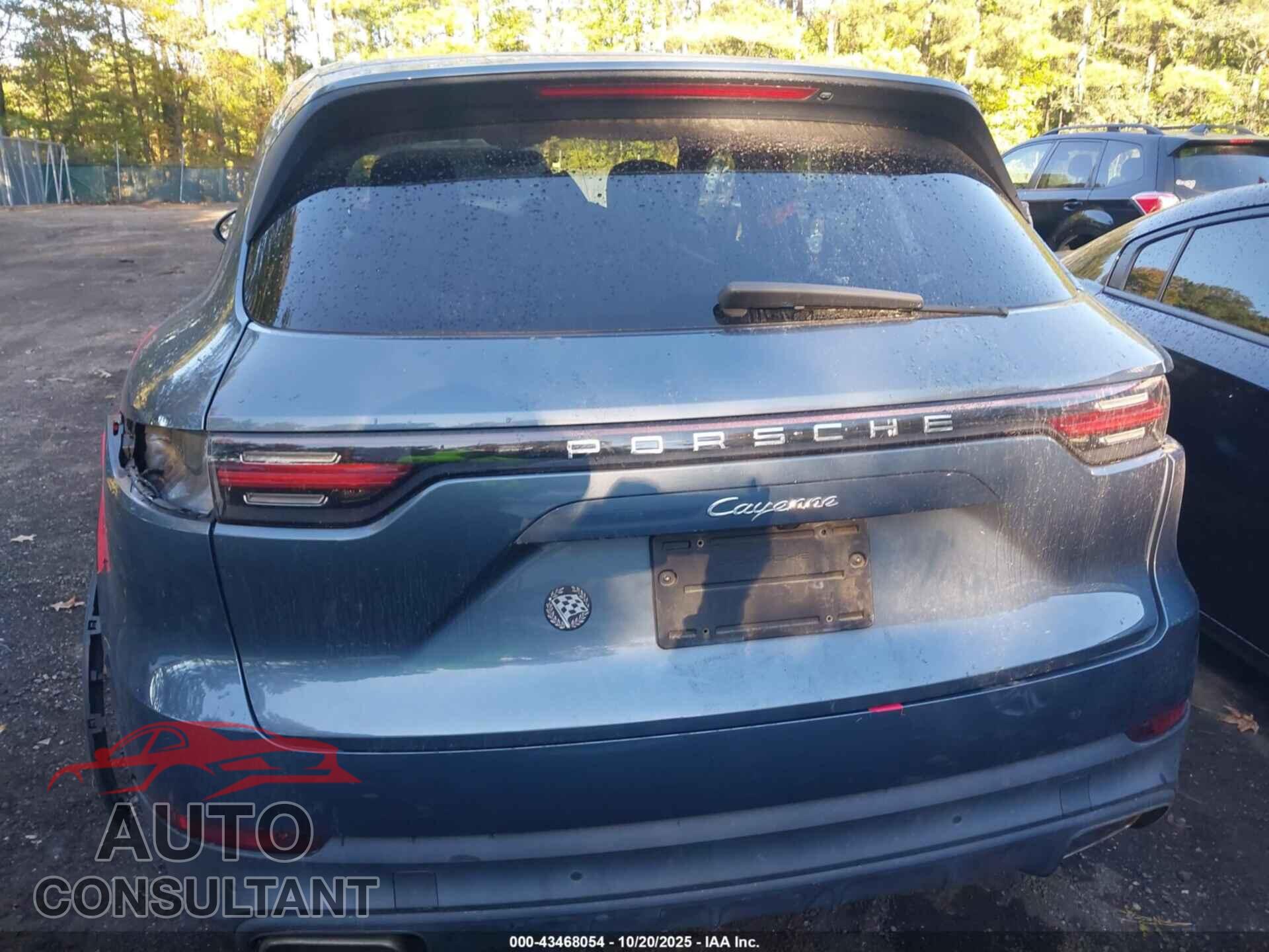 PORSCHE CAYENNE 2019 - WP1AA2AY2KDA01212