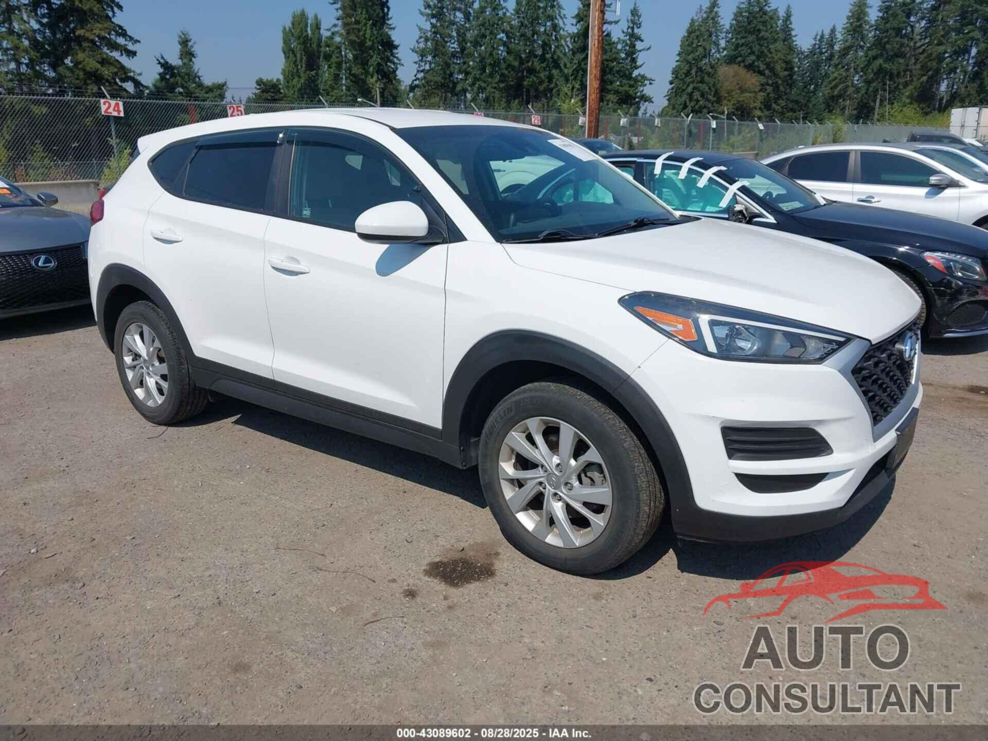 HYUNDAI TUCSON 2019 - KM8J2CA41KU955768